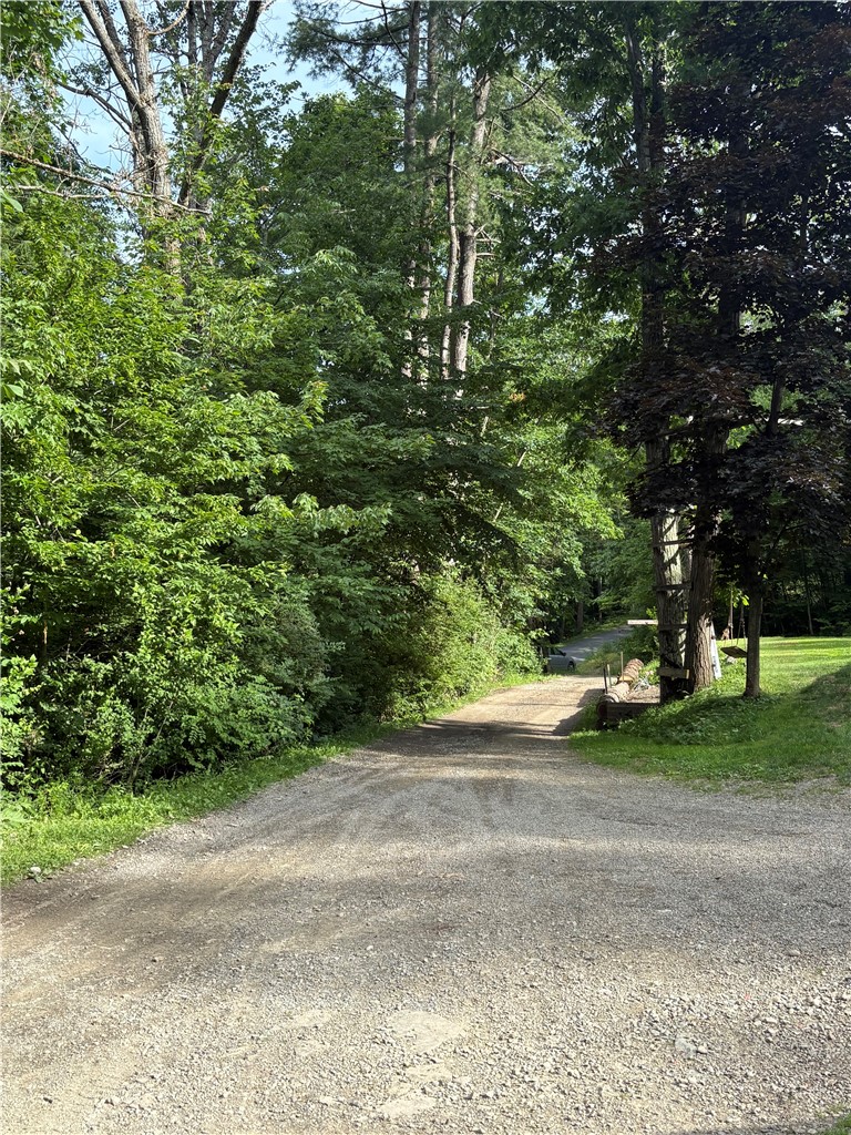 2155 Mulholland Road Erwin, NY 14870 - Photo 3 of 14