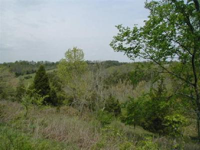 1318 Hoophole Road Lawrenceburg, KY 40342 - Photo 10 of 15 Photo 10