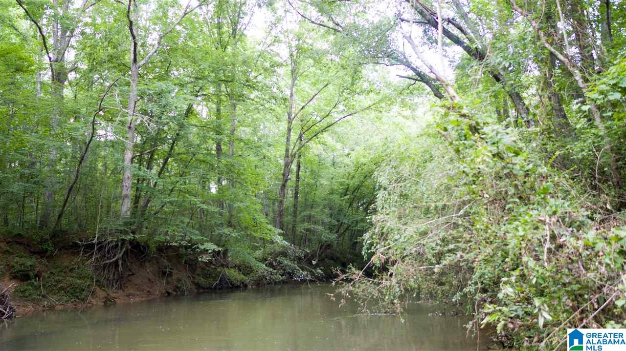 180 Gibson Road, Unit 76 / ACRES OFF GIBSON R Columbiana, AL 35051 - Photo 25 of 50