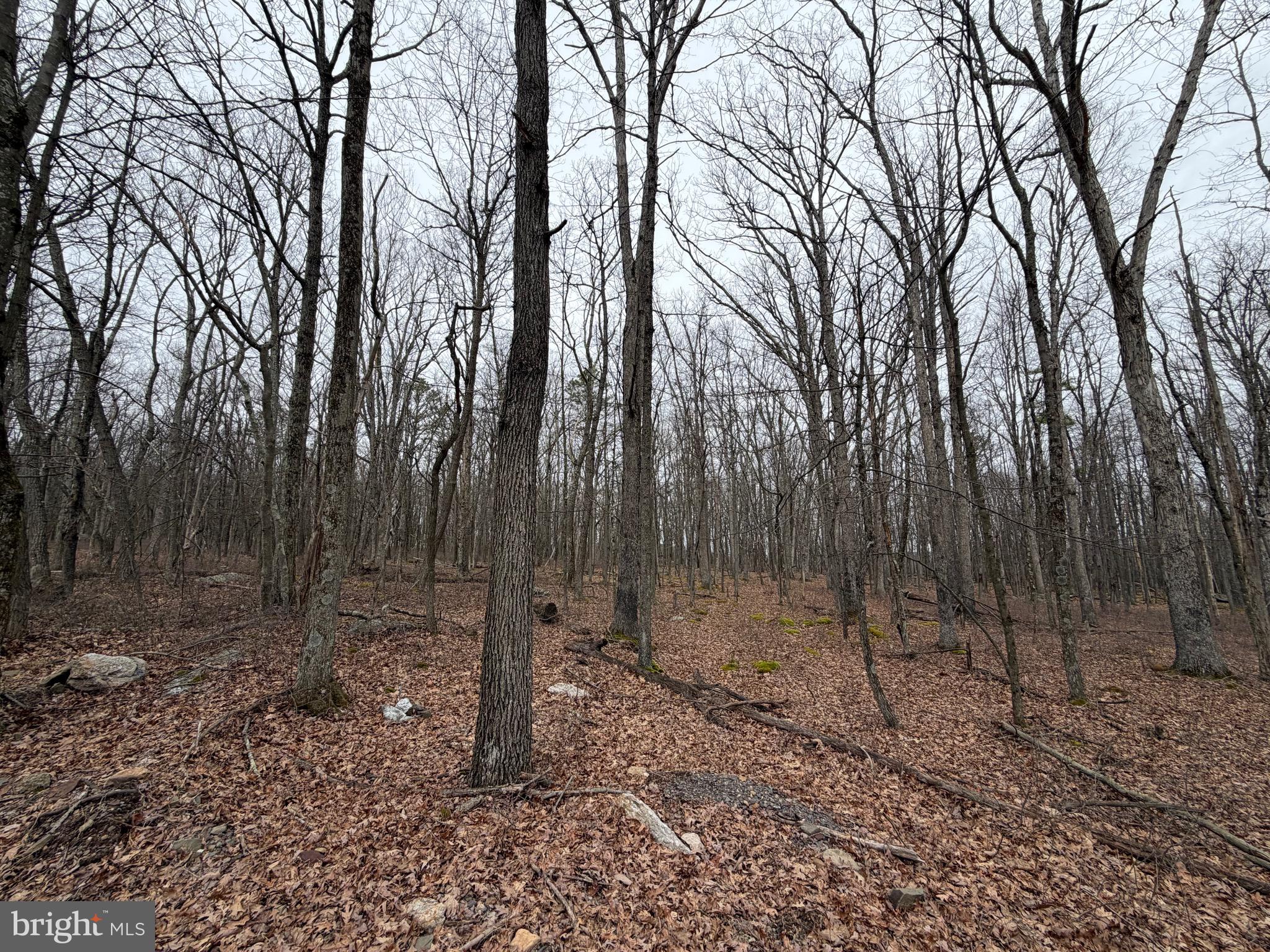 519 Hay Stack Drive Zion Grove, PA 17985 - Photo 1 of 20