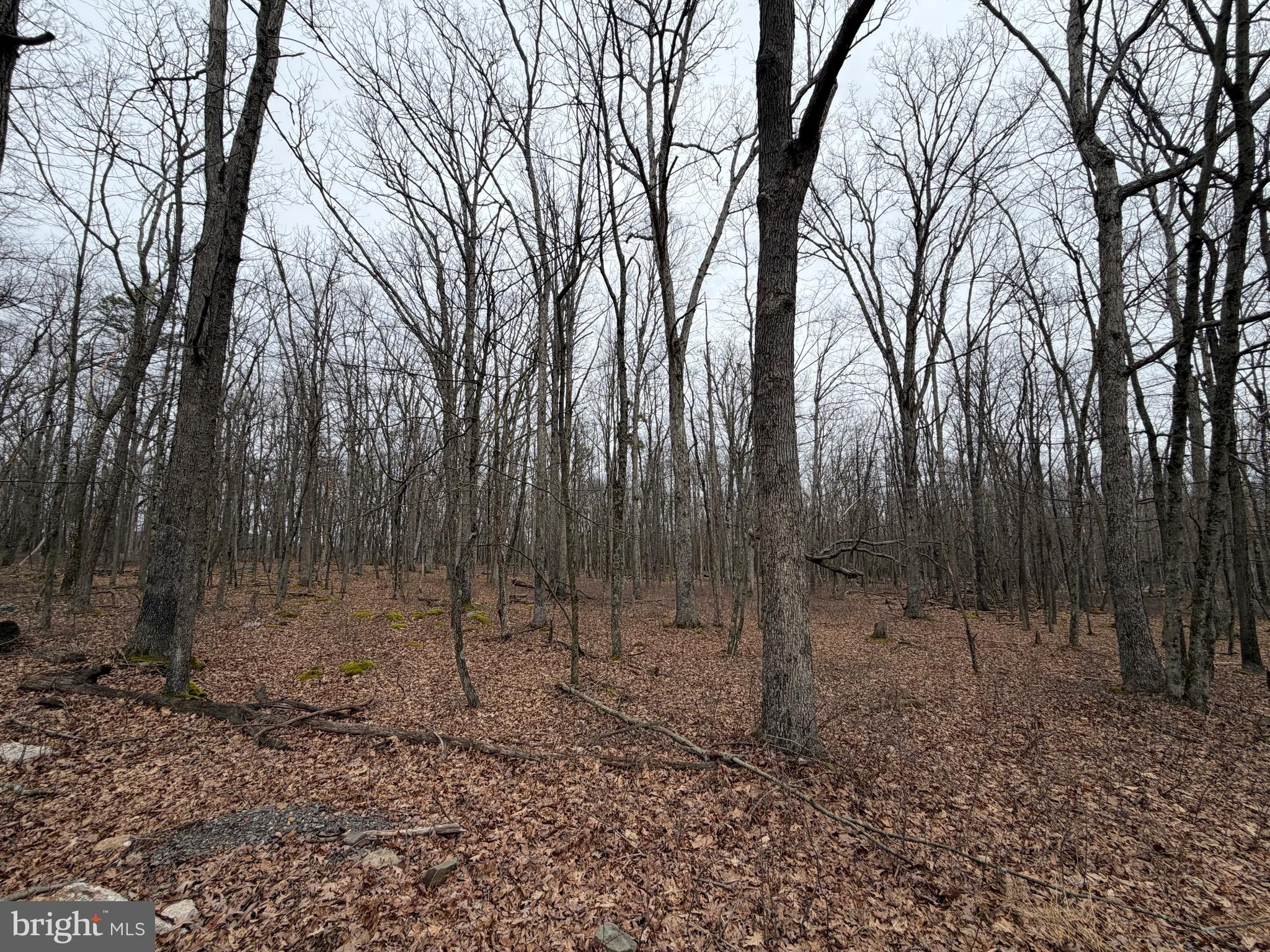 519 Hay Stack Drive Zion Grove, PA 17985 - Photo 2 of 20