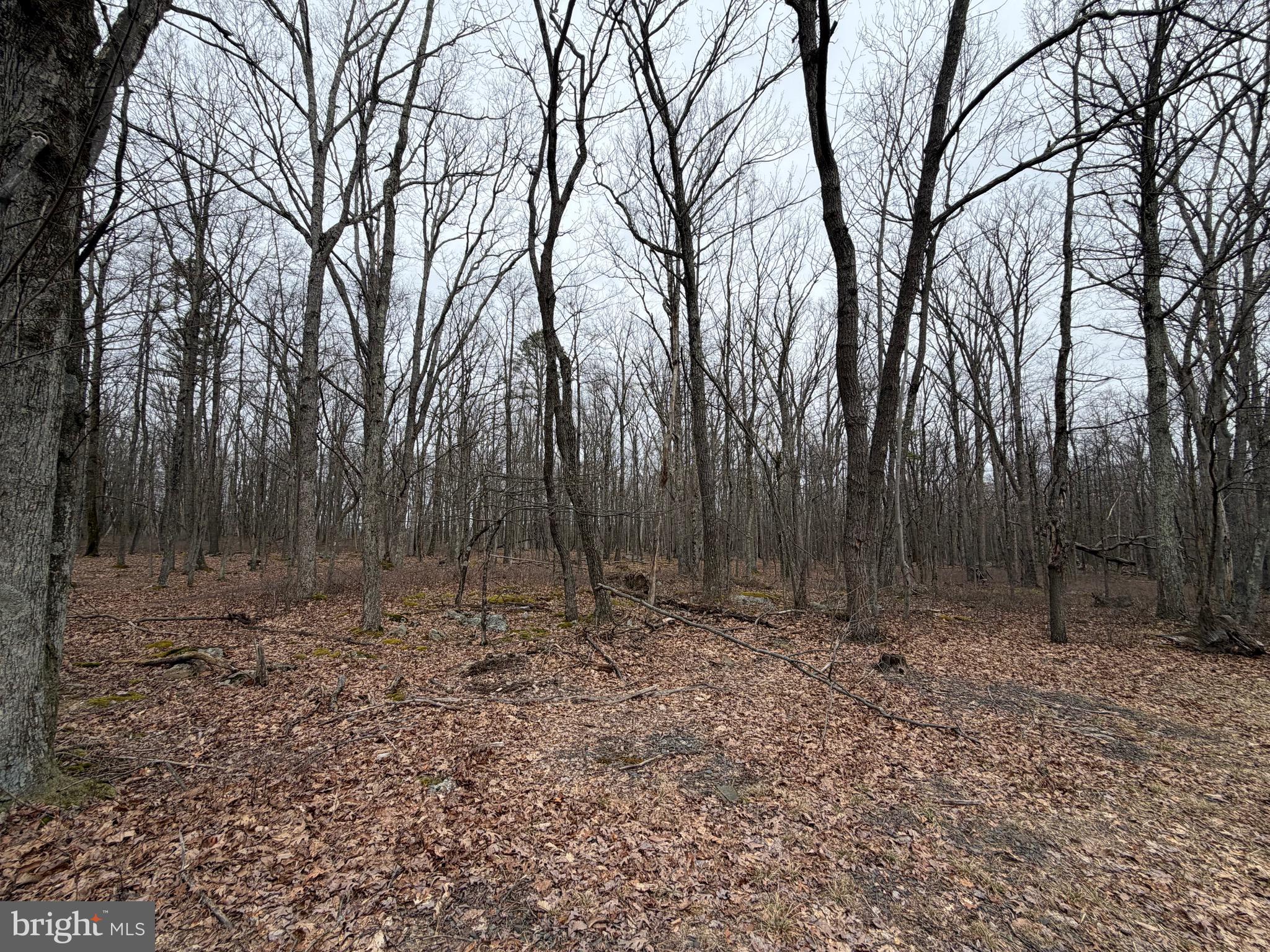 519 Hay Stack Drive Zion Grove, PA 17985 - Photo 5 of 20