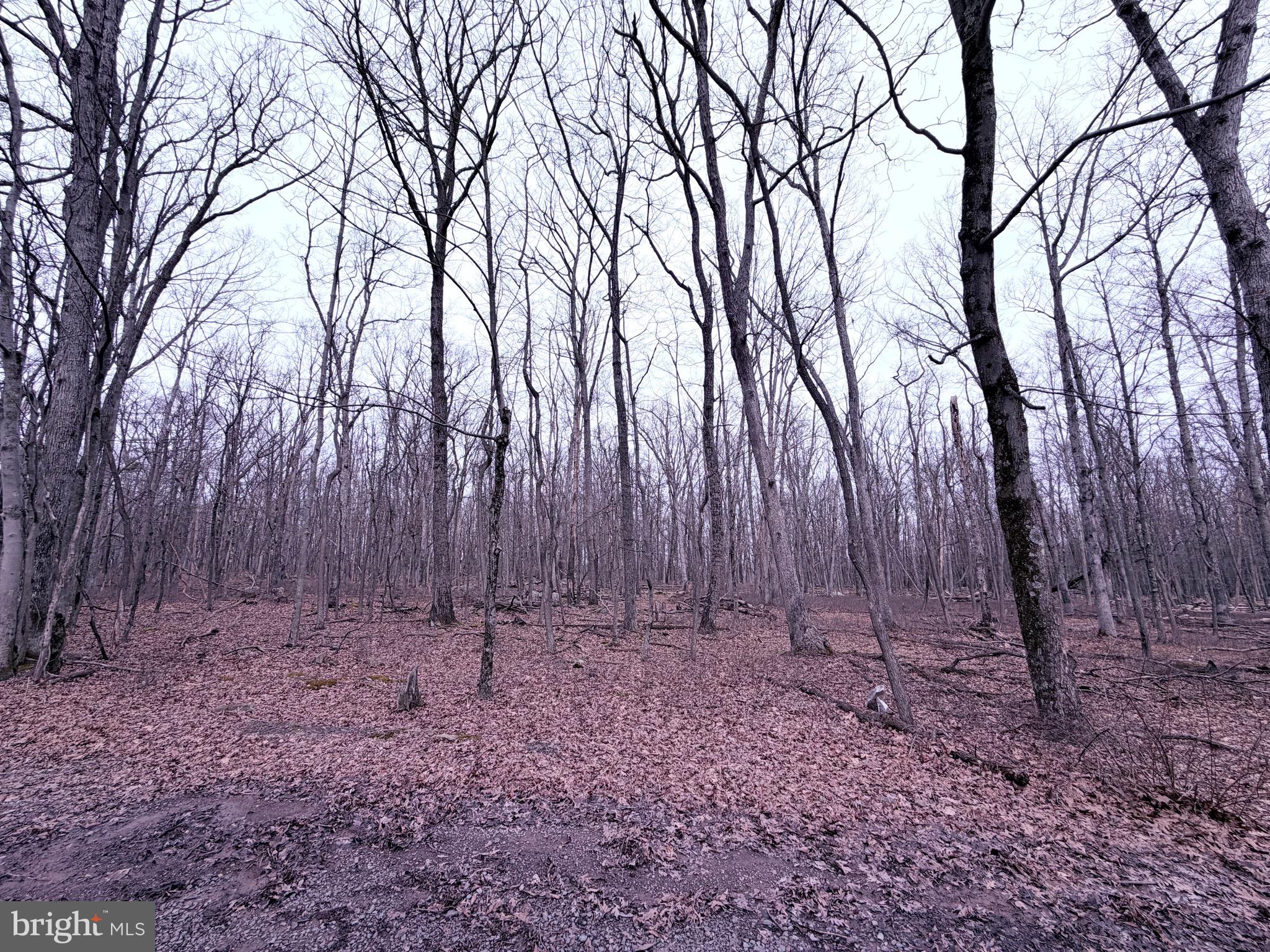 519 Hay Stack Drive Zion Grove, PA 17985 - Photo 6 of 20