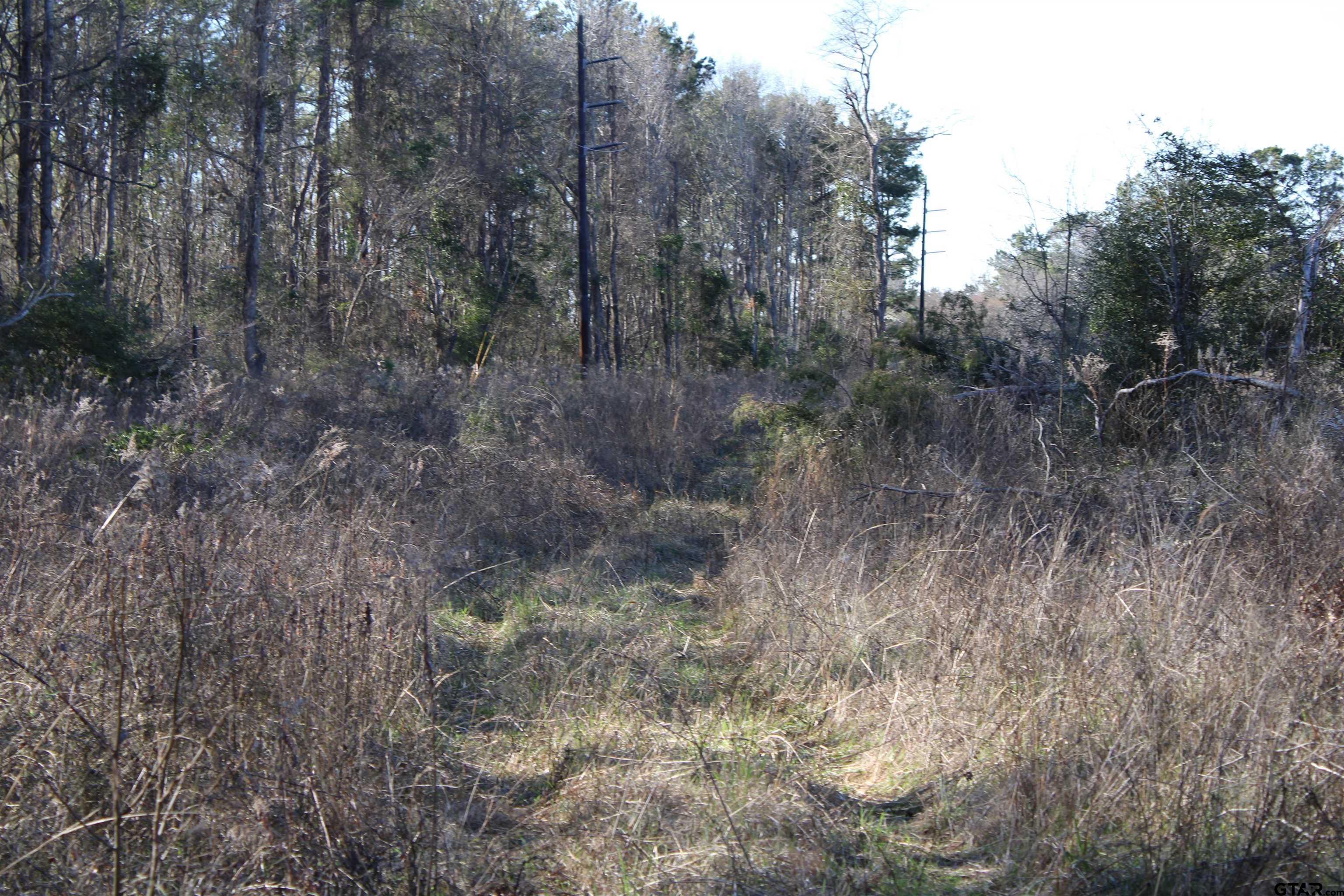 1627- 10 Acres Rusk Tx 75785 Rusk, TX 75785 - Photo 3 of 7 a view of a forest with trees in the background
