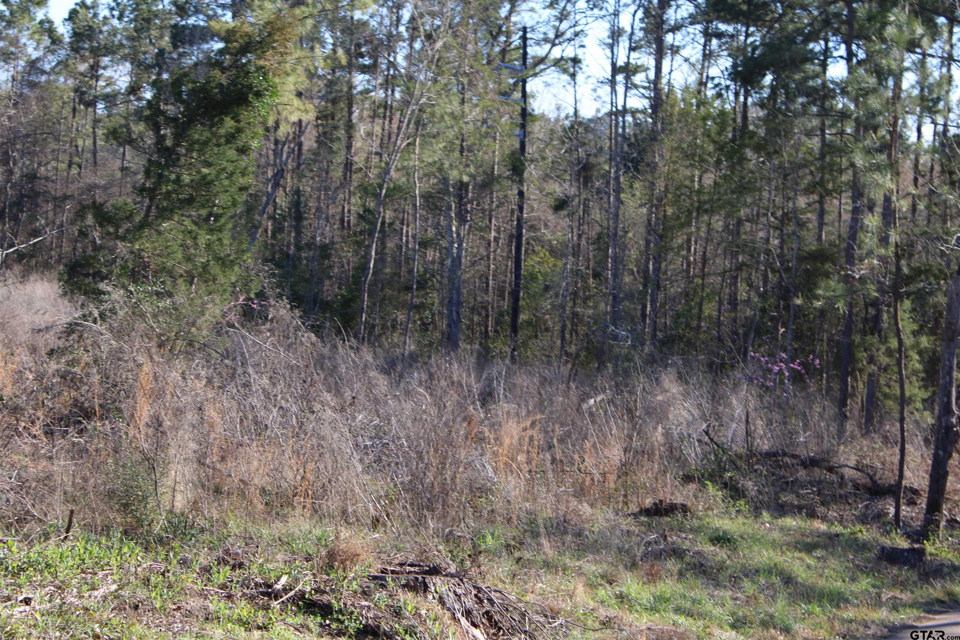 1627- 10 Acres Rusk Tx 75785 Rusk, TX 75785 - Photo 4 of 7 a view of a dry yard with trees
