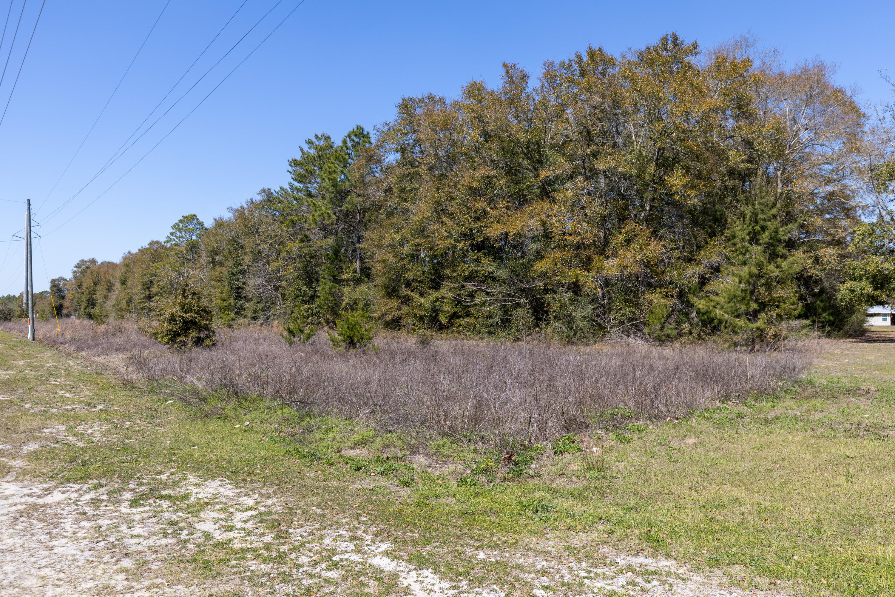 1.385 Acres On Walton Road DeFuniak Springs, FL 32433 - Photo 6 of 12 From SE corner facing NW