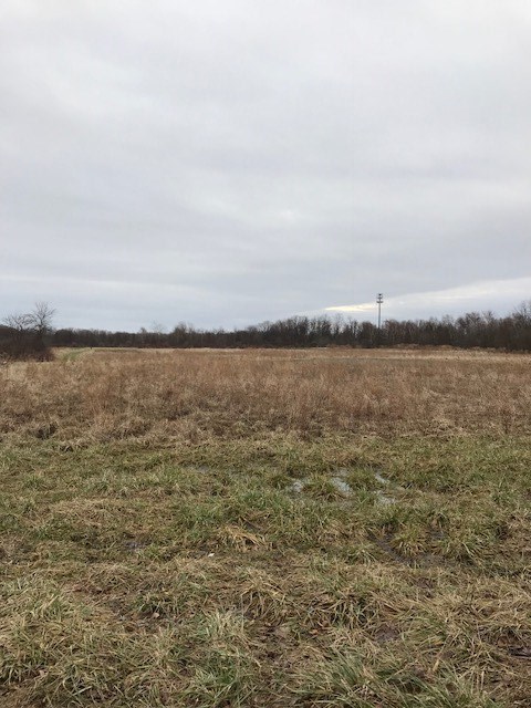 190 Phillips Road Webster, NY 14580 - Photo 1 of 1