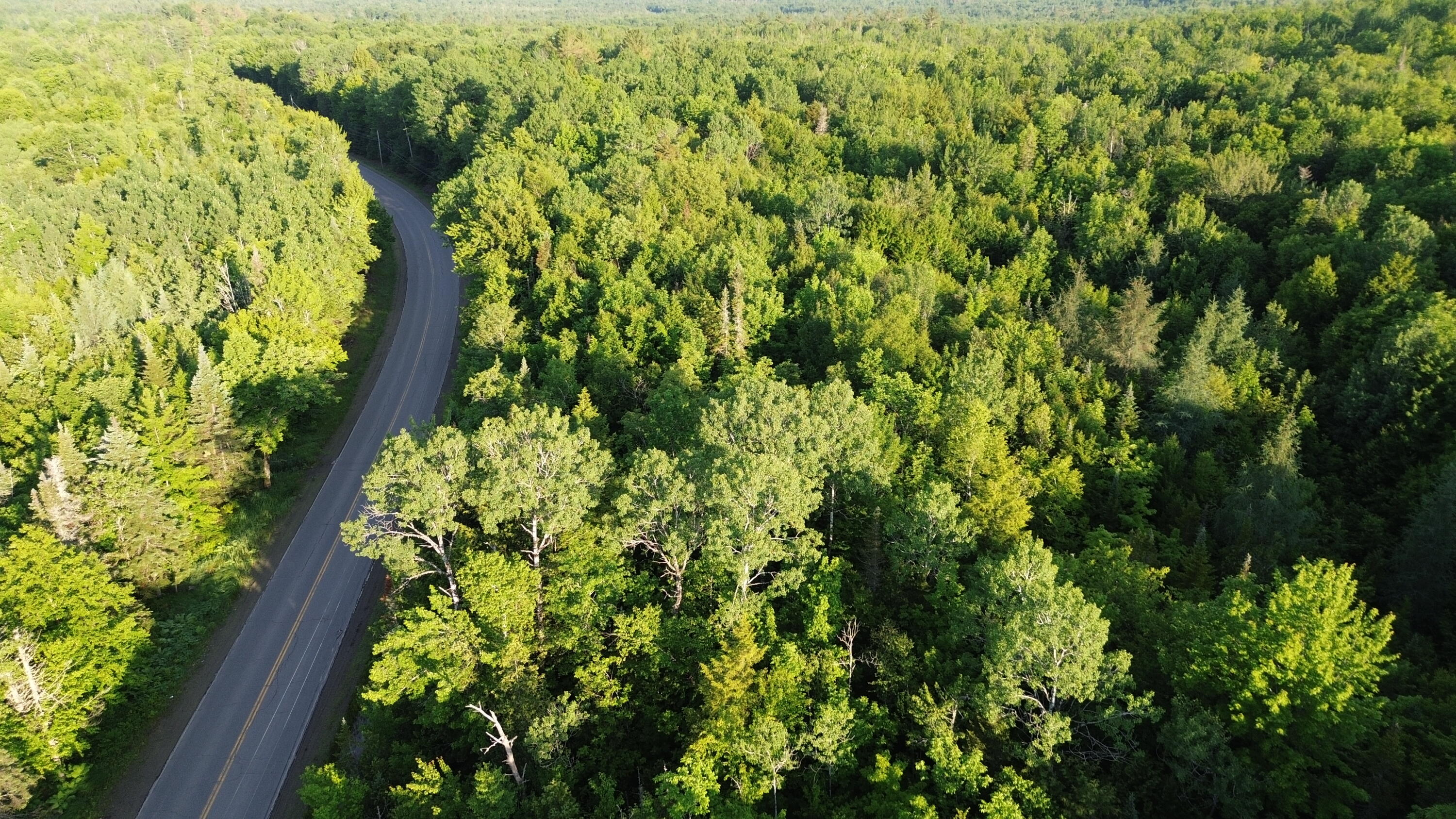 24a Anson Valley Road New Vineyard, ME 04956 - Photo 84 of 93 DJI_0098
