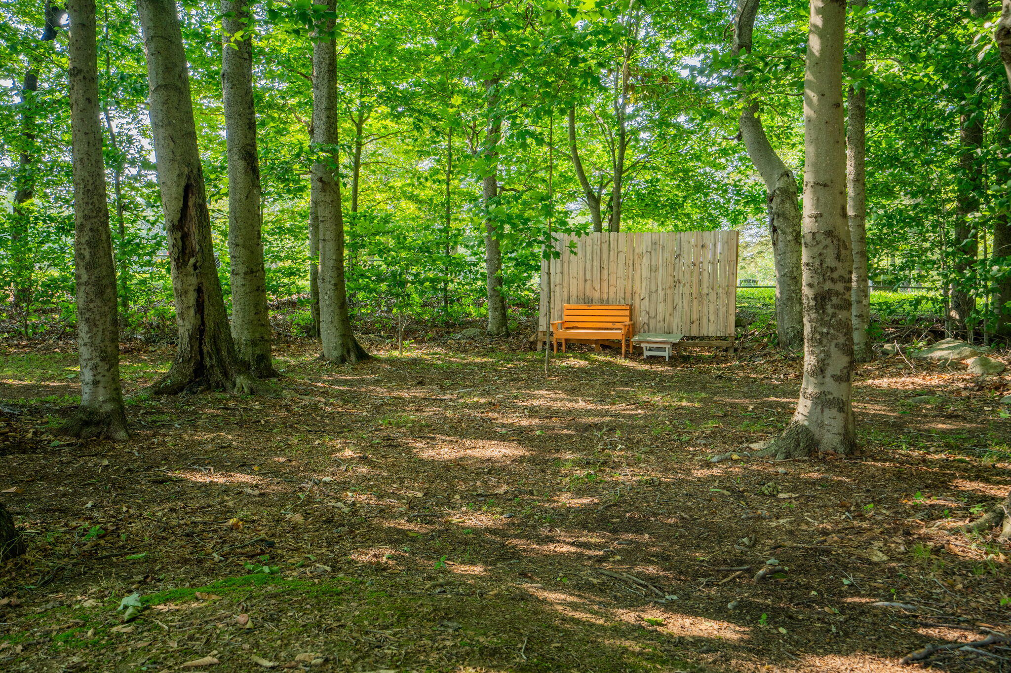 63 Pleasant Hill Road Freeport, ME 04032 - Photo 45 of 57 64-web-or-mls-DSC01292