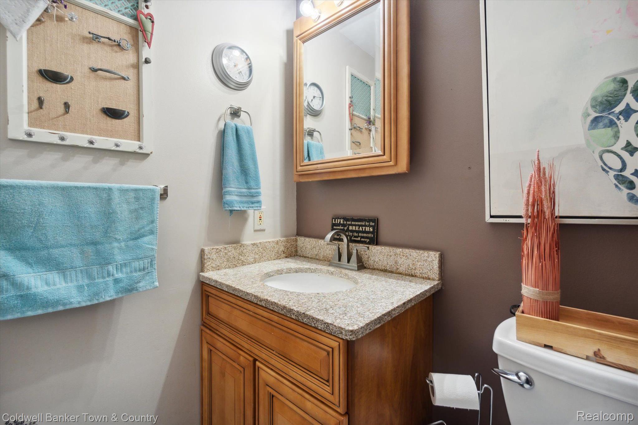 4928 Nature View Court Howell, MI 48843 - Photo 42 of 66 Full Bath Lower Level