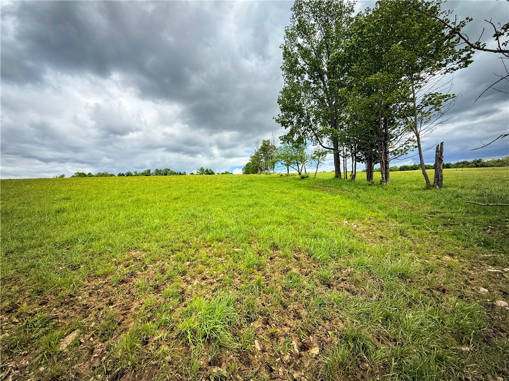 4 Putt Hill Road Chemung, NY 14825 - Photo 18 of 34 Gallery Image 18