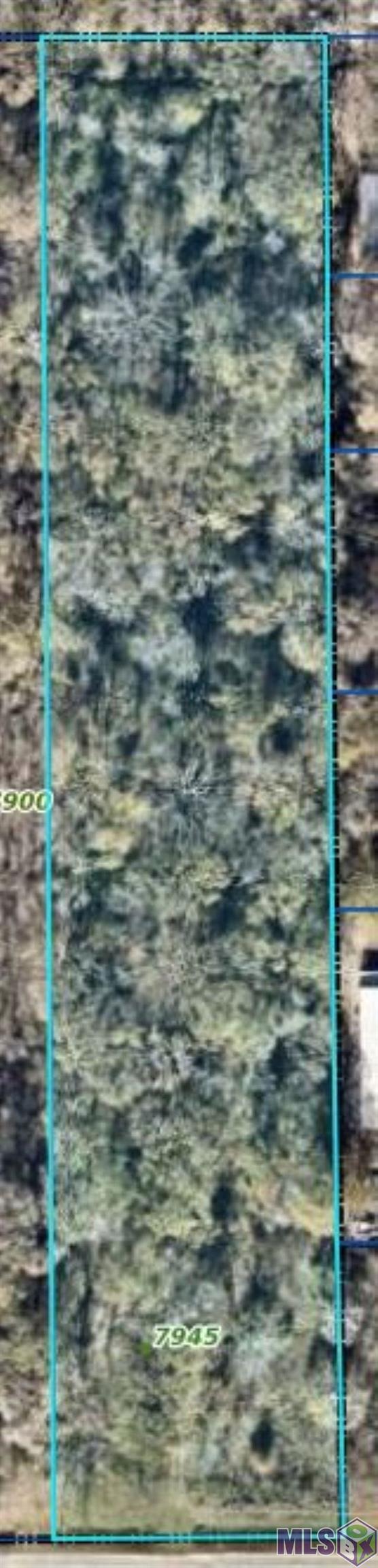 7945 Main Street Zachary, LA 70791 - Photo 2 of 2