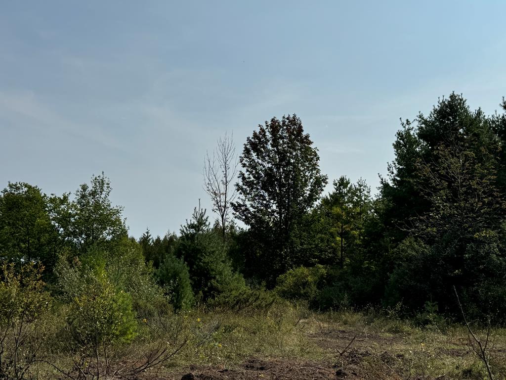 Lot 4 Division Road Egg Harbor, WI 54209 - Photo 10 of 13 Gallery Image 10