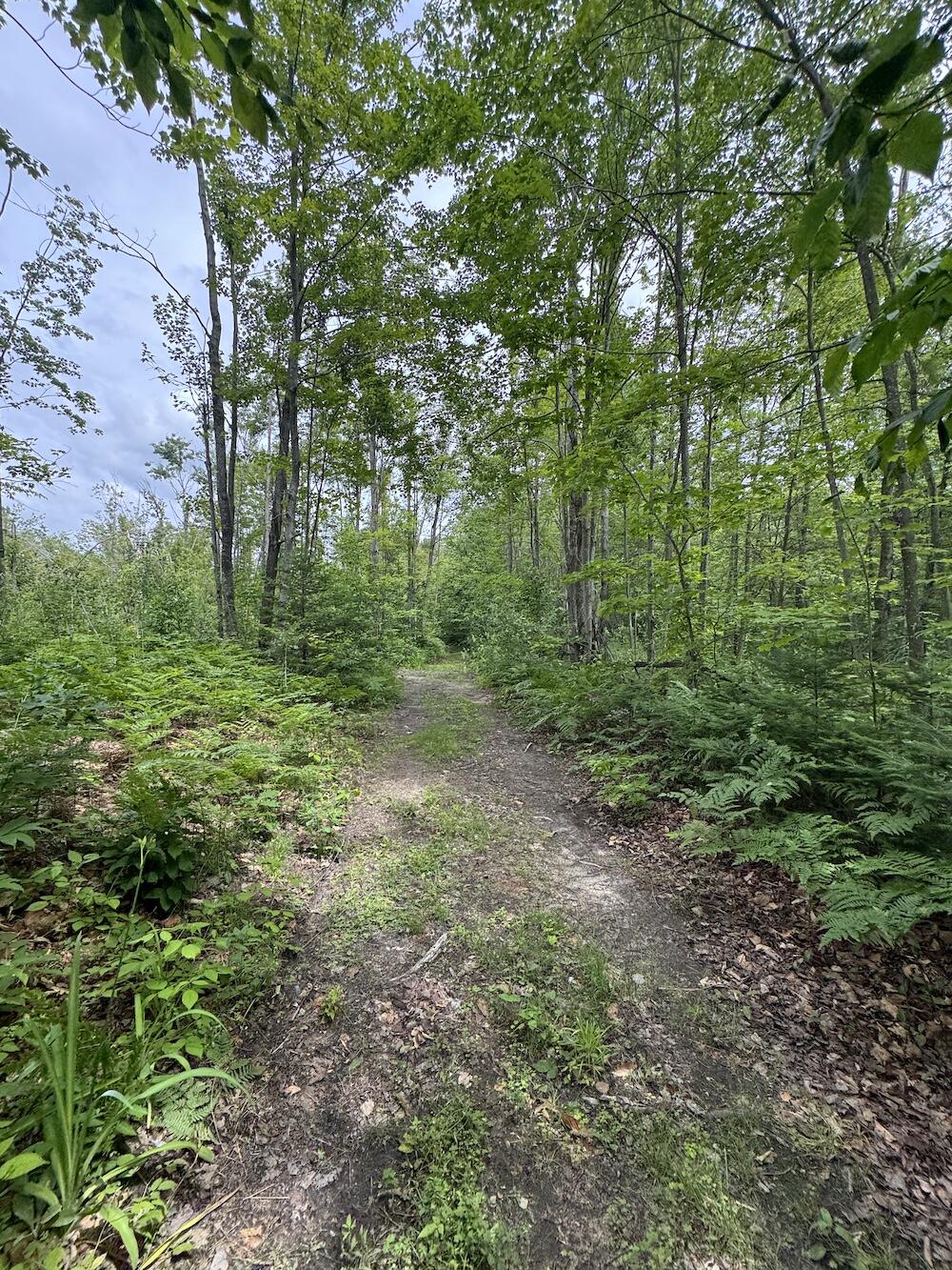 1692 North Galbraith Road Mio, MI 48647 - Photo 30 of 82 19