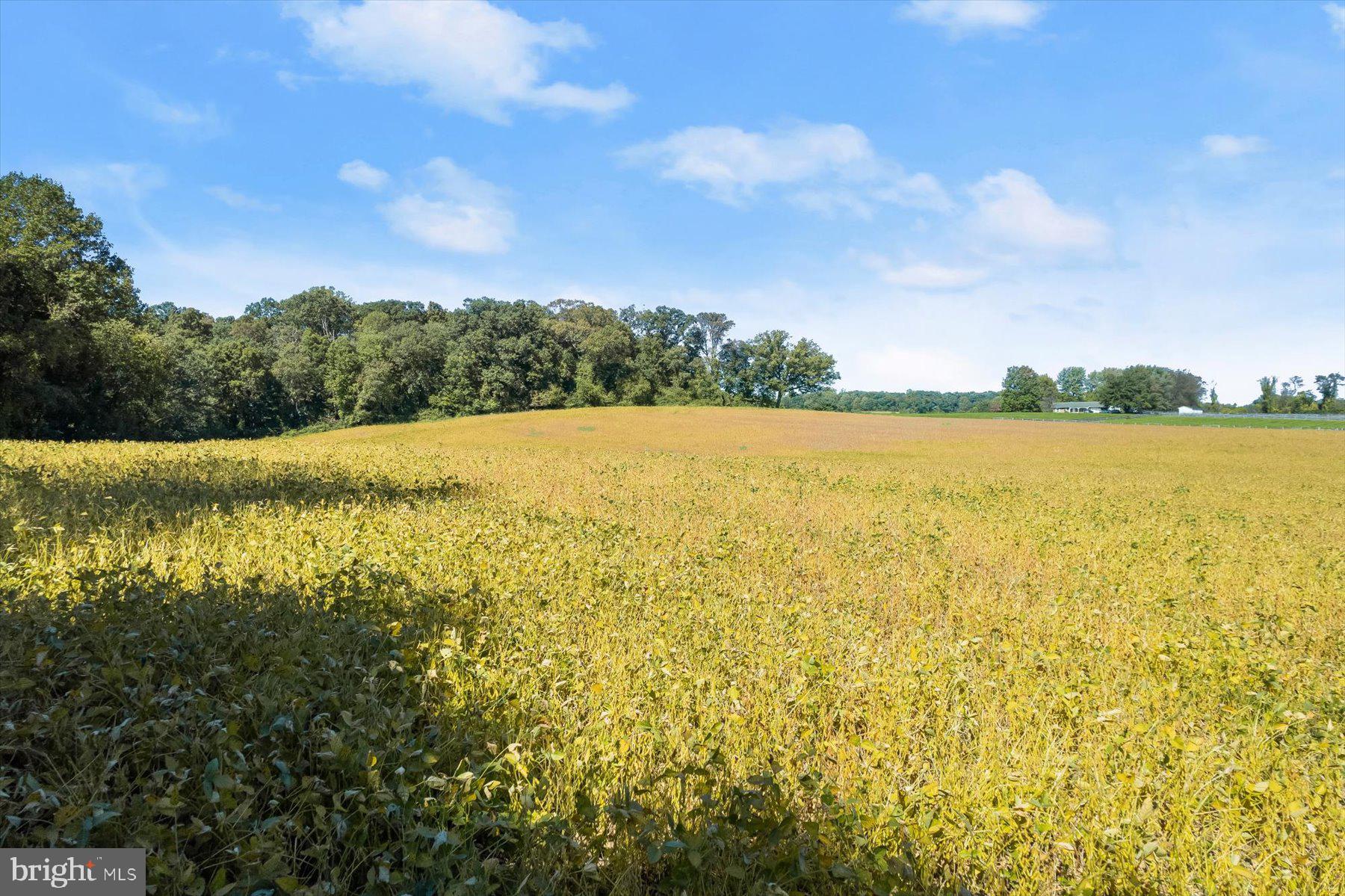 Annapolis Rock Road Woodbine, MD 21797 - Photo 20 of 22 Ground View