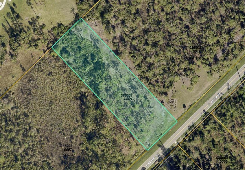 1060 South River Road Englewood, FL 34223 - Photo 12 of 14 a close up of a plant in a garden