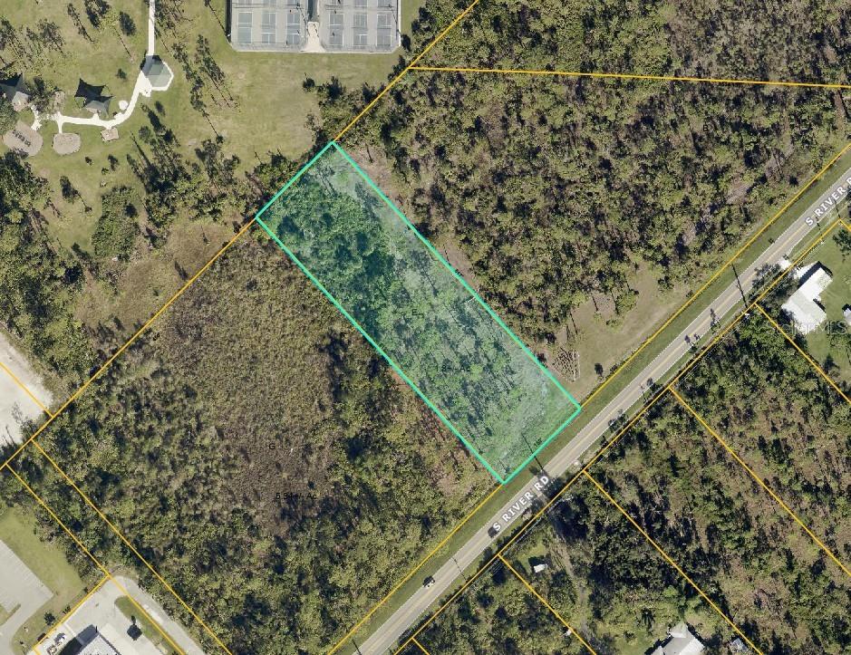 1060 South River Road Englewood, FL 34223 - Photo 13 of 14 a close up of a plant in a garden