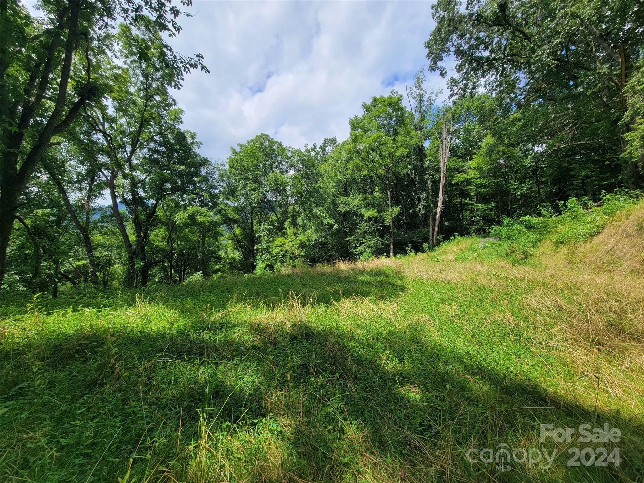 1300 Glades Road Clyde, NC 28721 - Photo 1 of 25