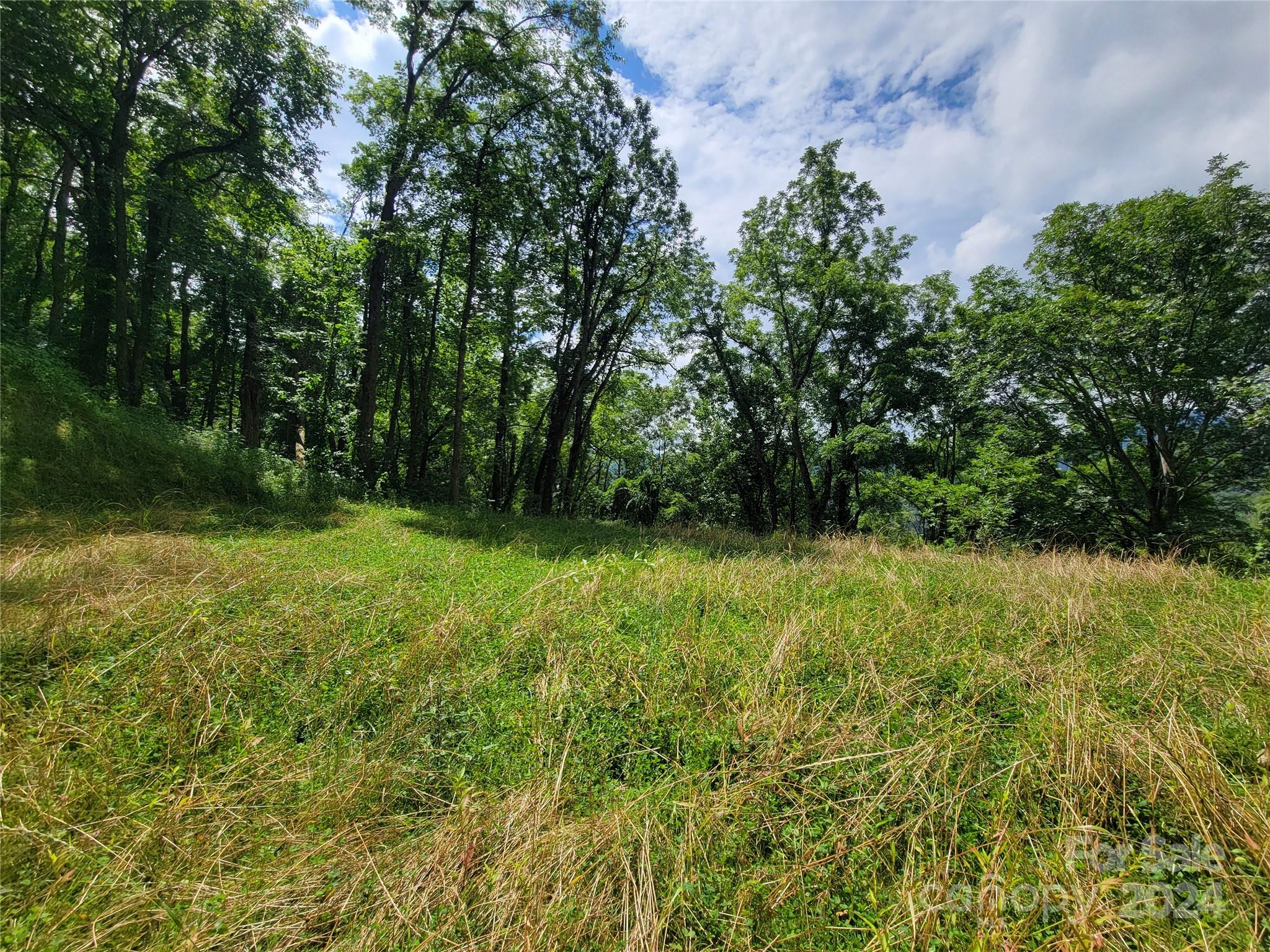 1300 Glades Road Clyde, NC 28721 - Photo 11 of 25