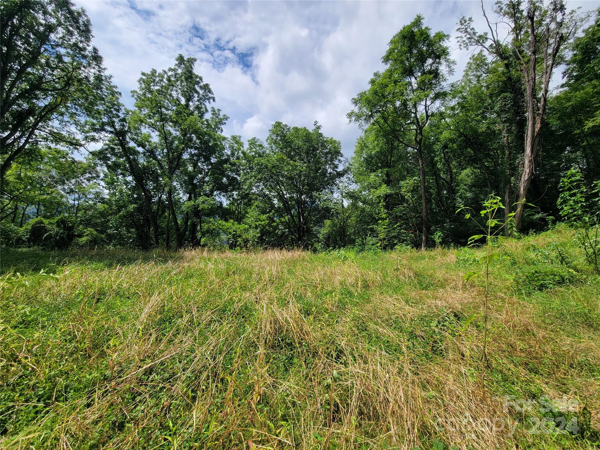 1300 Glades Road Clyde, NC 28721 - Photo 4 of 25