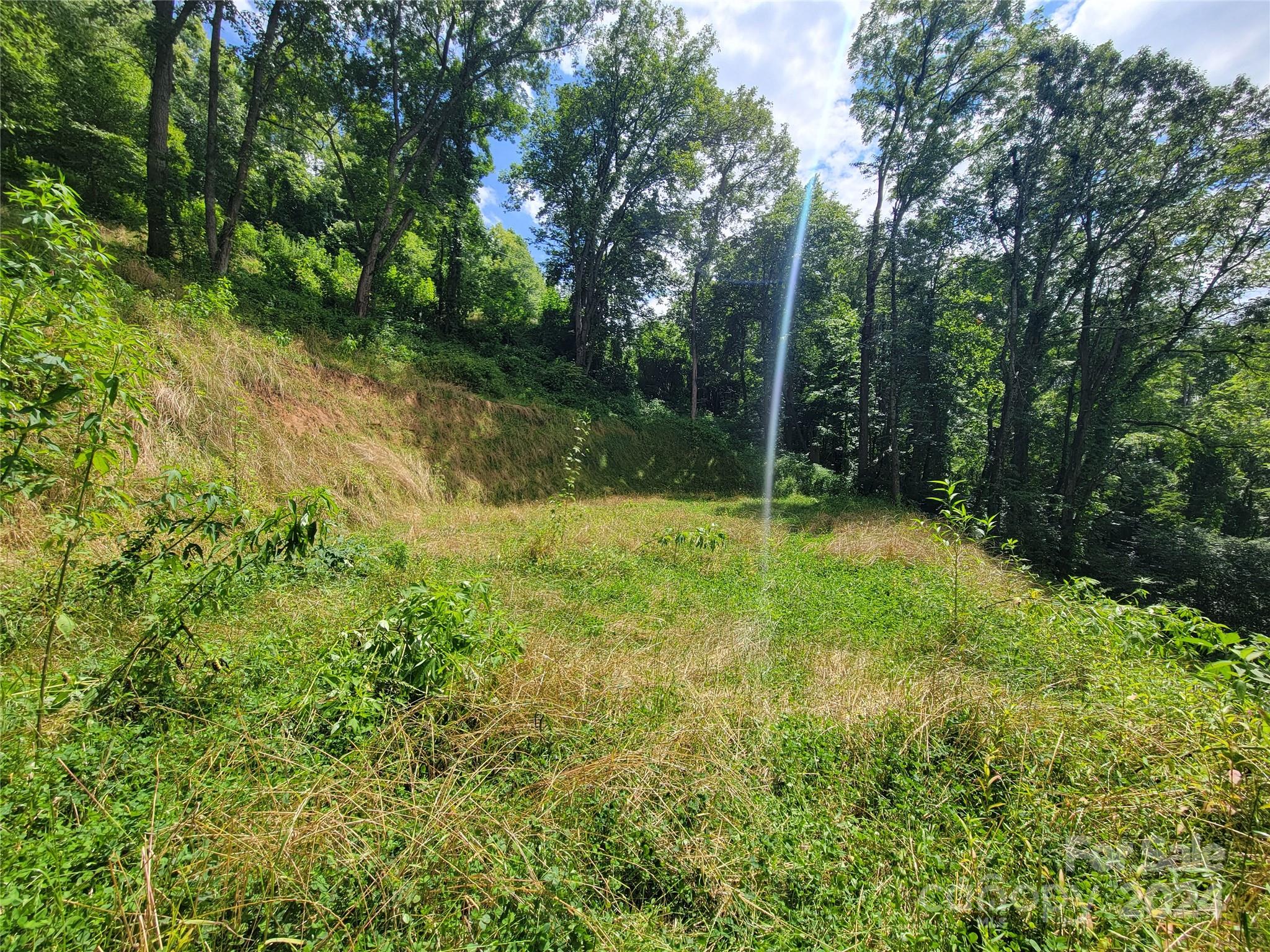 1300 Glades Road Clyde, NC 28721 - Photo 7 of 25