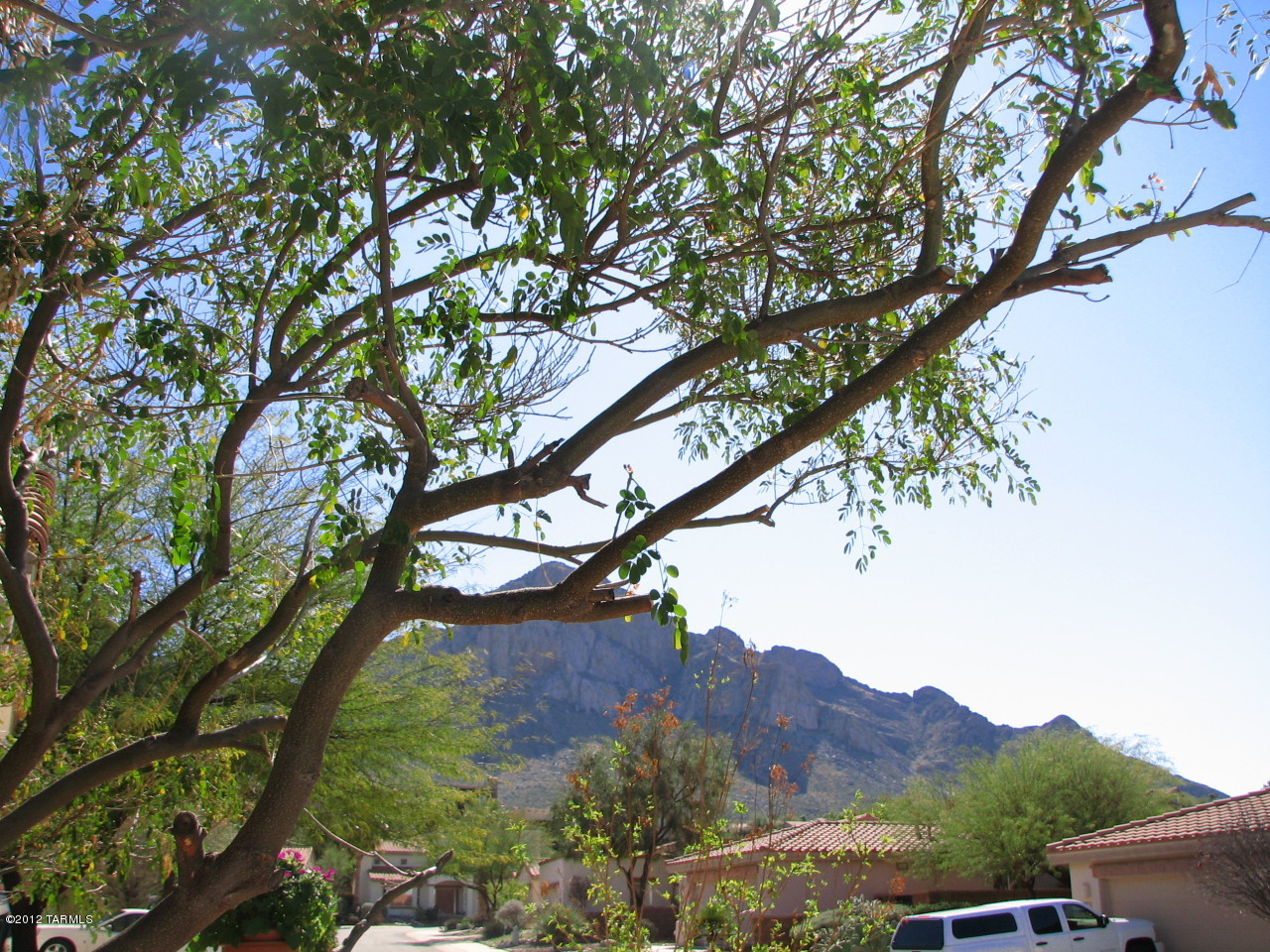 1515 East Tascal Loop Tucson, AZ 85737 - Photo 5 of 16