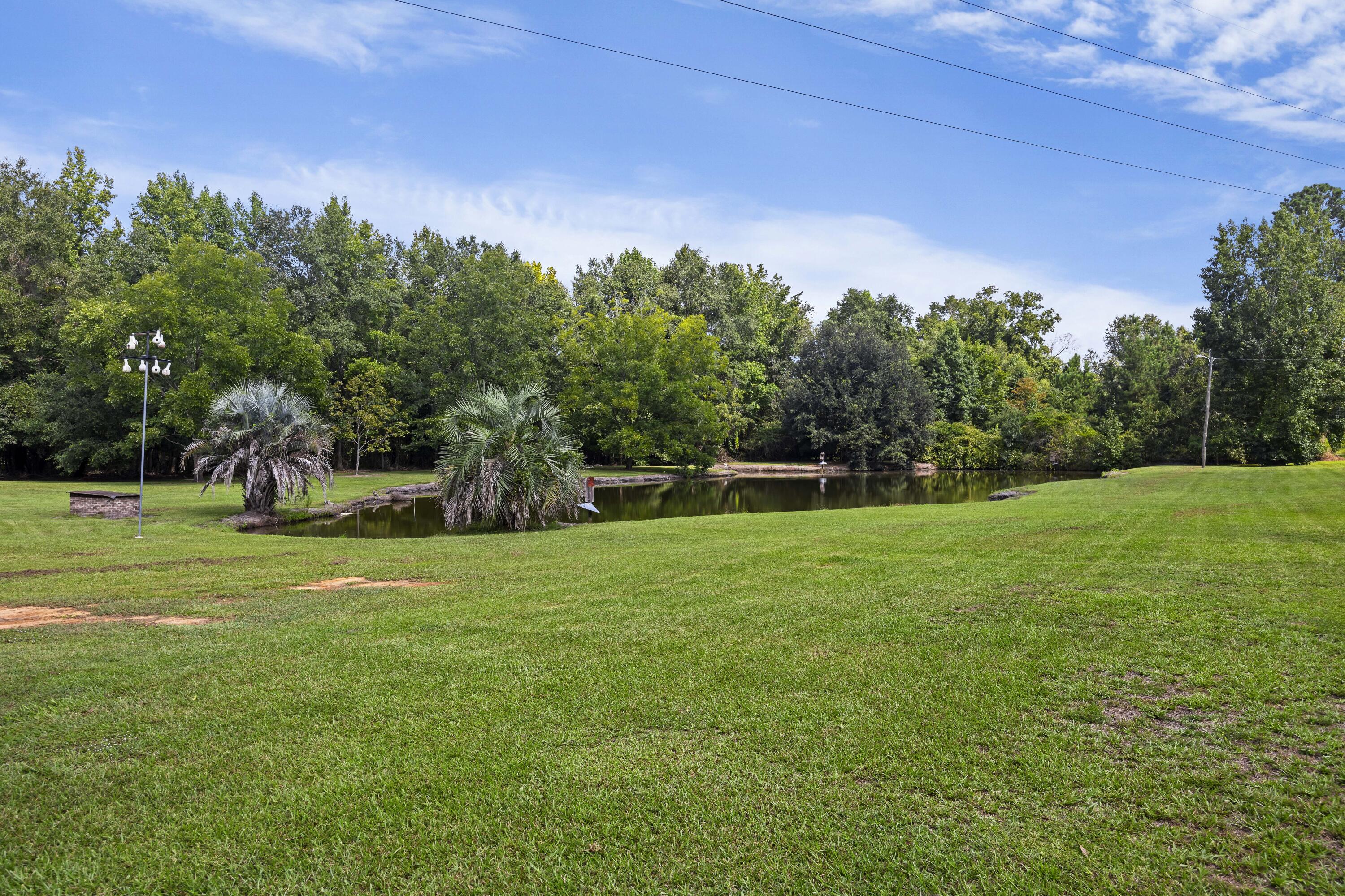 250 Stoller Road Bamberg, SC 29003 - Photo 31 of 46 243A9088