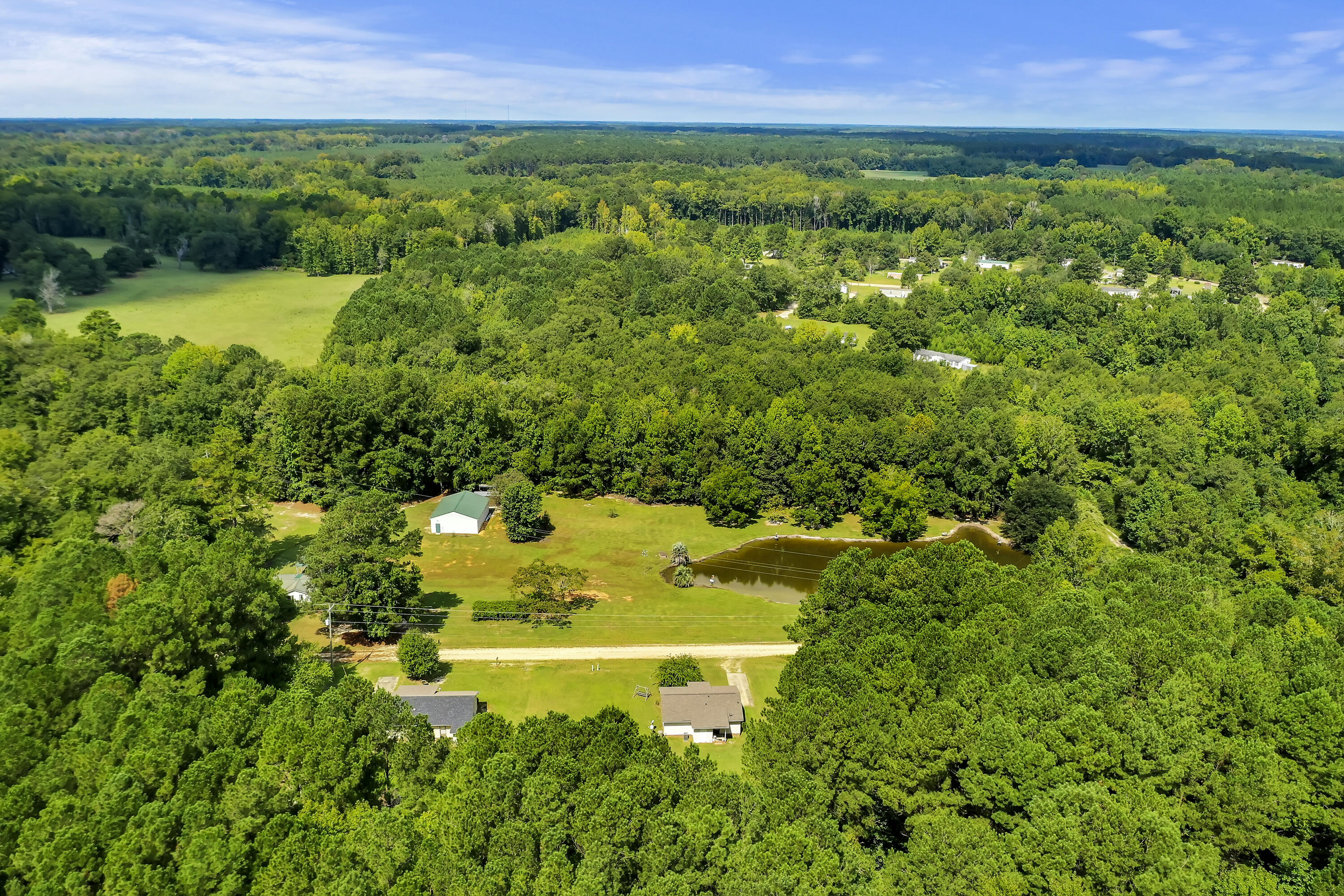 250 Stoller Road Bamberg, SC 29003 - Photo 34 of 46 DJI_0010