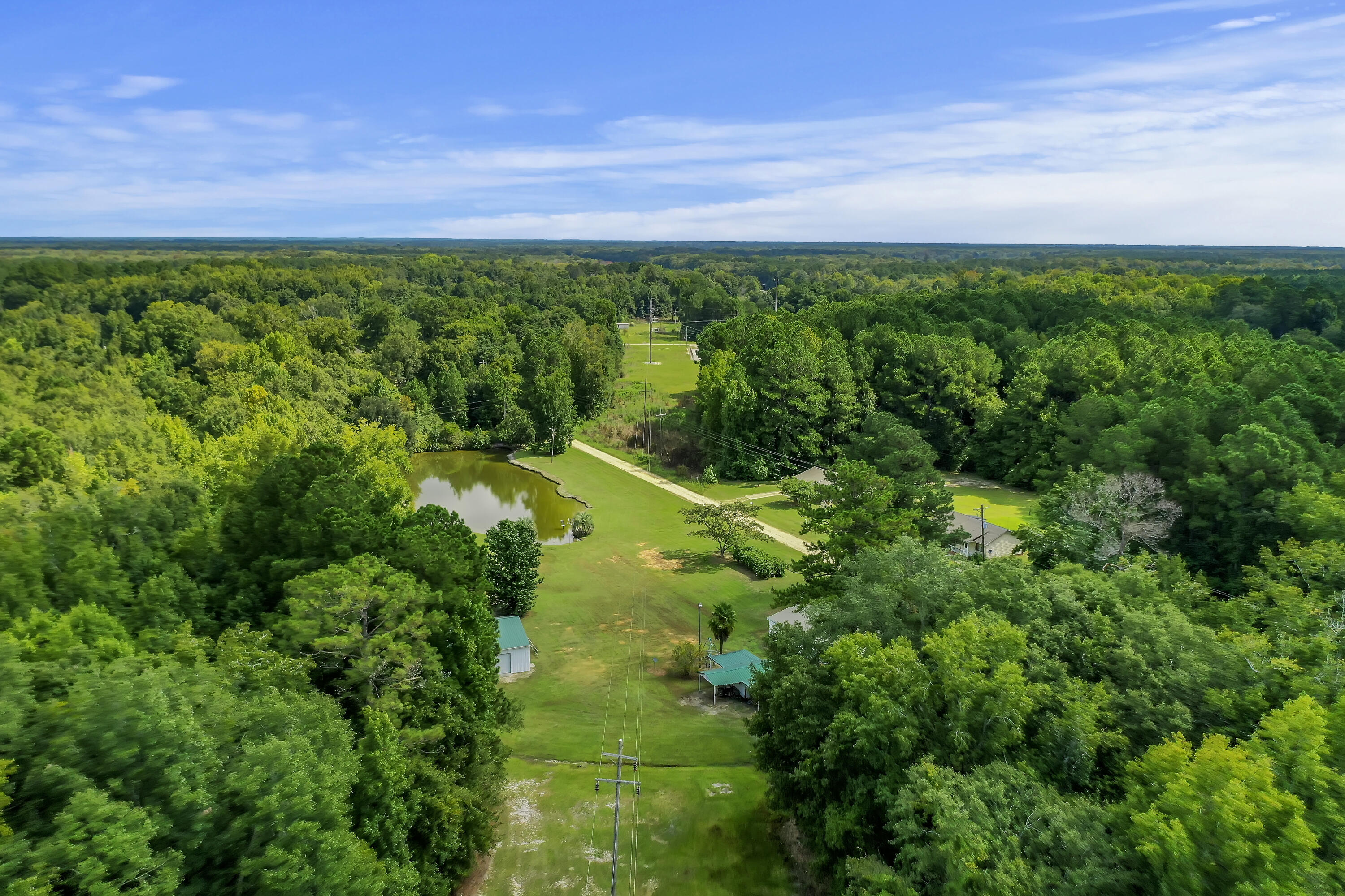 250 Stoller Road Bamberg, SC 29003 - Photo 36 of 46 DJI_0001