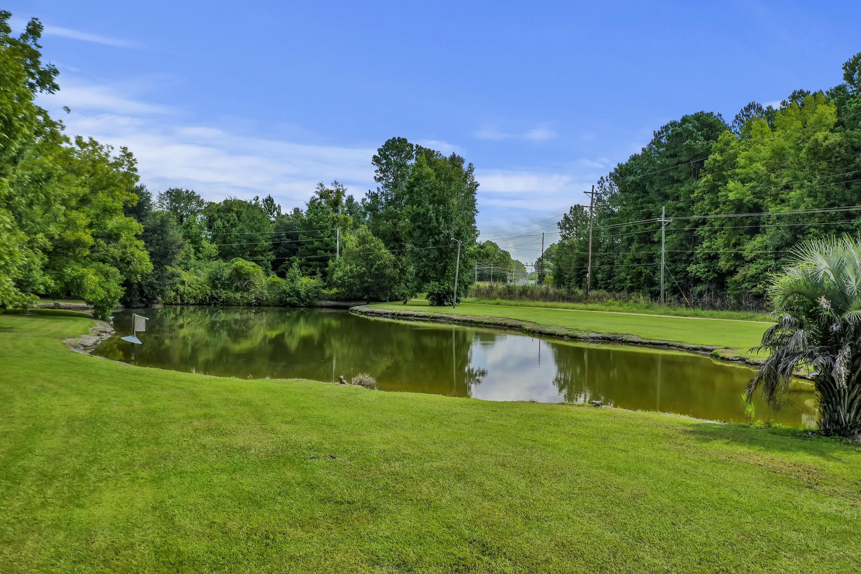 250 Stoller Road Bamberg, SC 29003 - Photo 37 of 46 DJI_0003