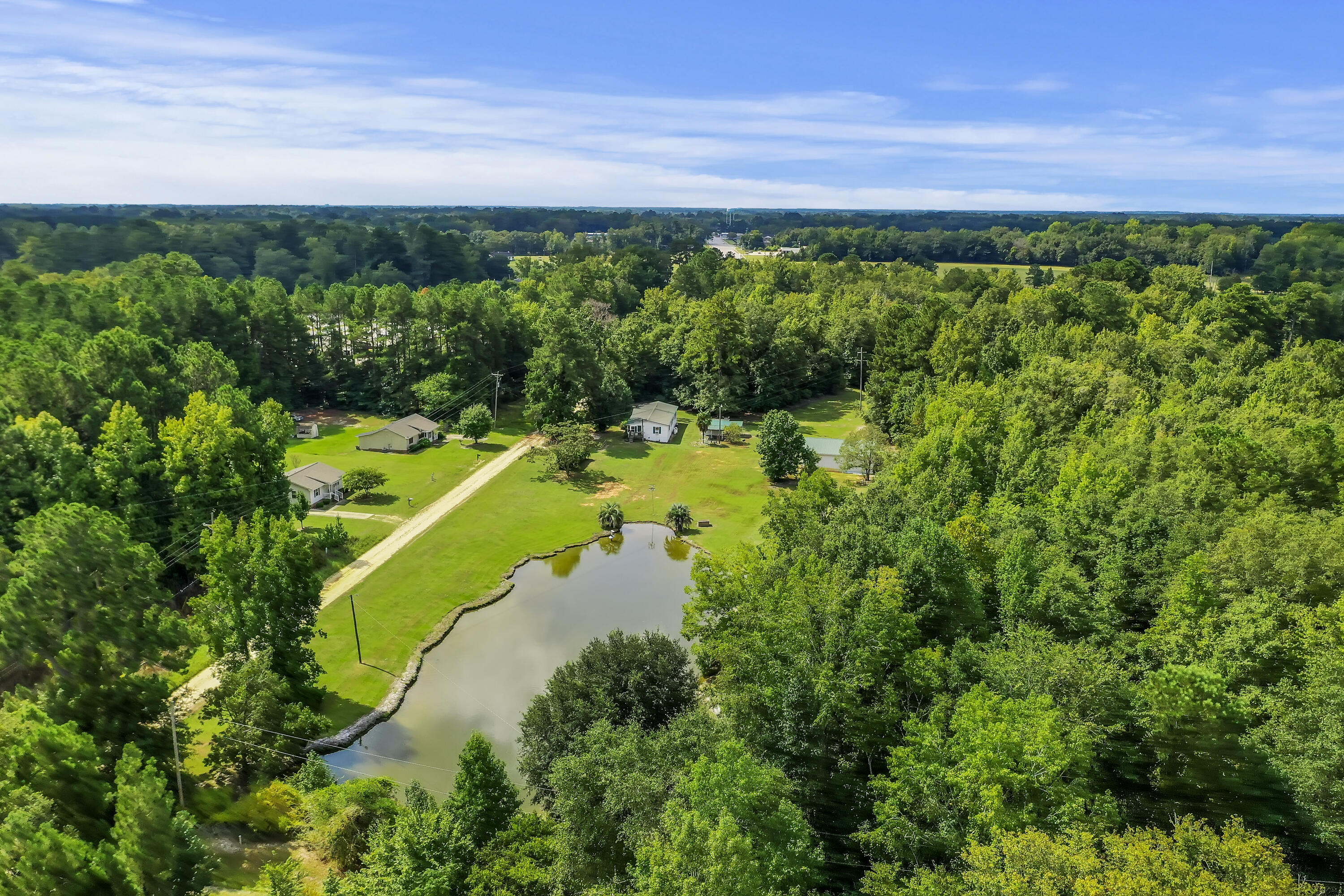 250 Stoller Road Bamberg, SC 29003 - Photo 38 of 46 DJI_0004