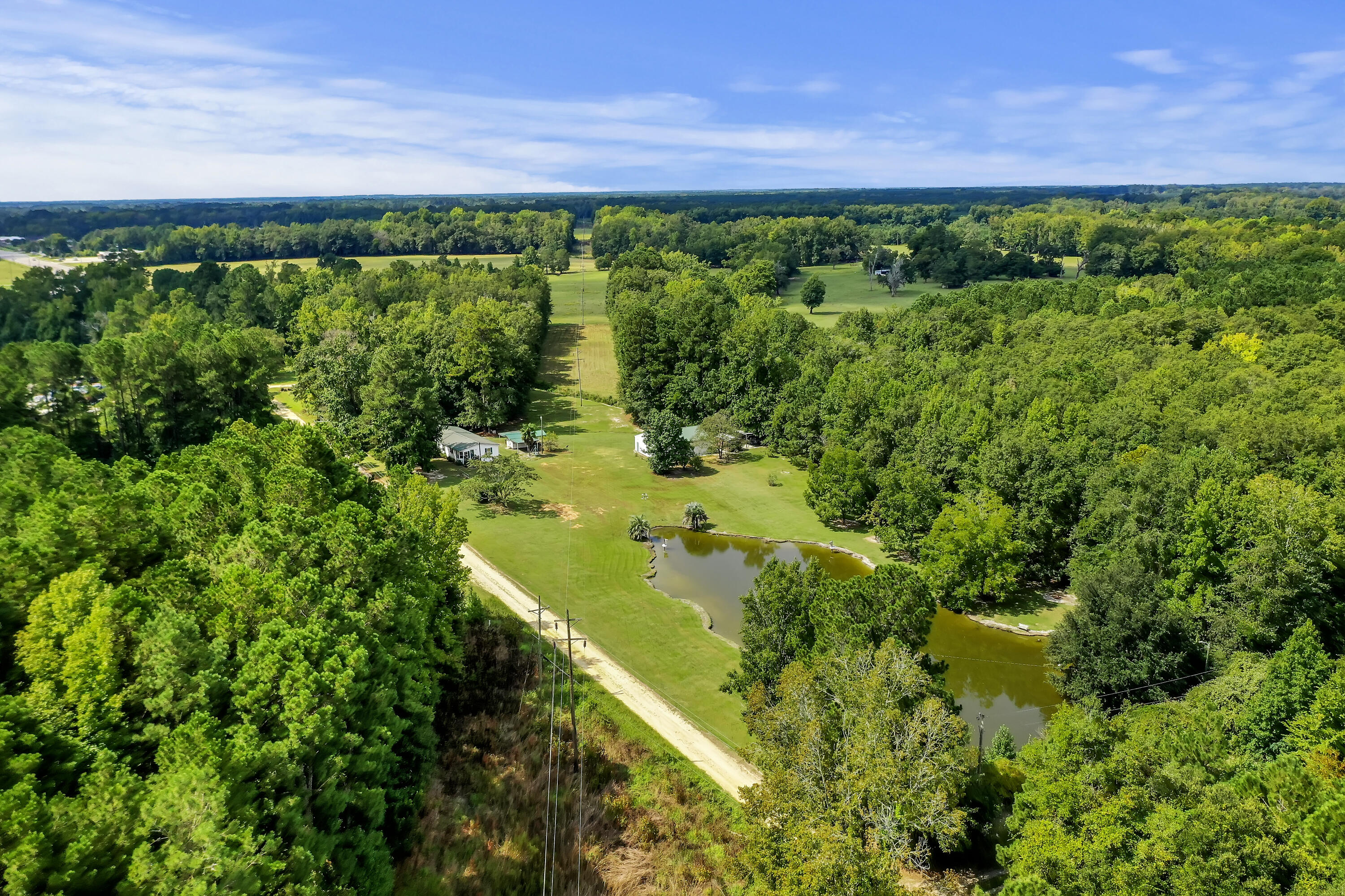 250 Stoller Road Bamberg, SC 29003 - Photo 39 of 46 DJI_0005