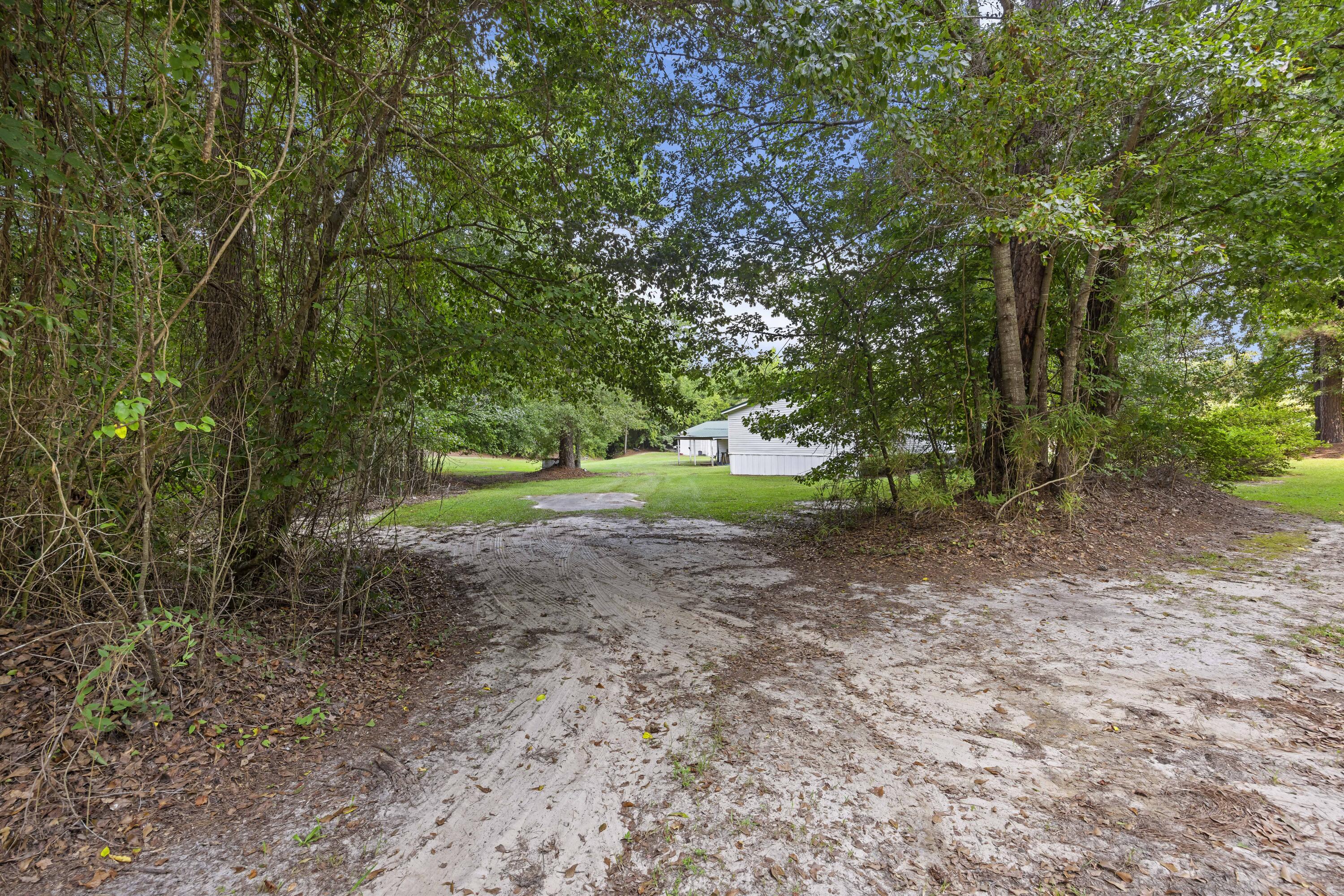 250 Stoller Road Bamberg, SC 29003 - Photo 42 of 46 243A9123