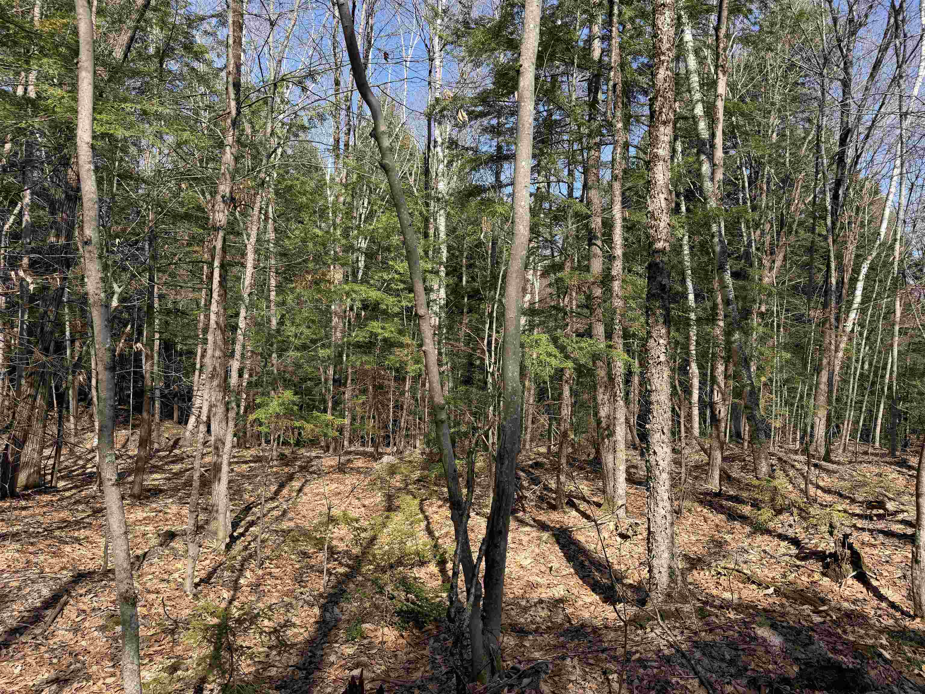 R29-l9 Roxbury Road, Unit LOT 9 Meredith, NH 03253 - Photo 21 of 36