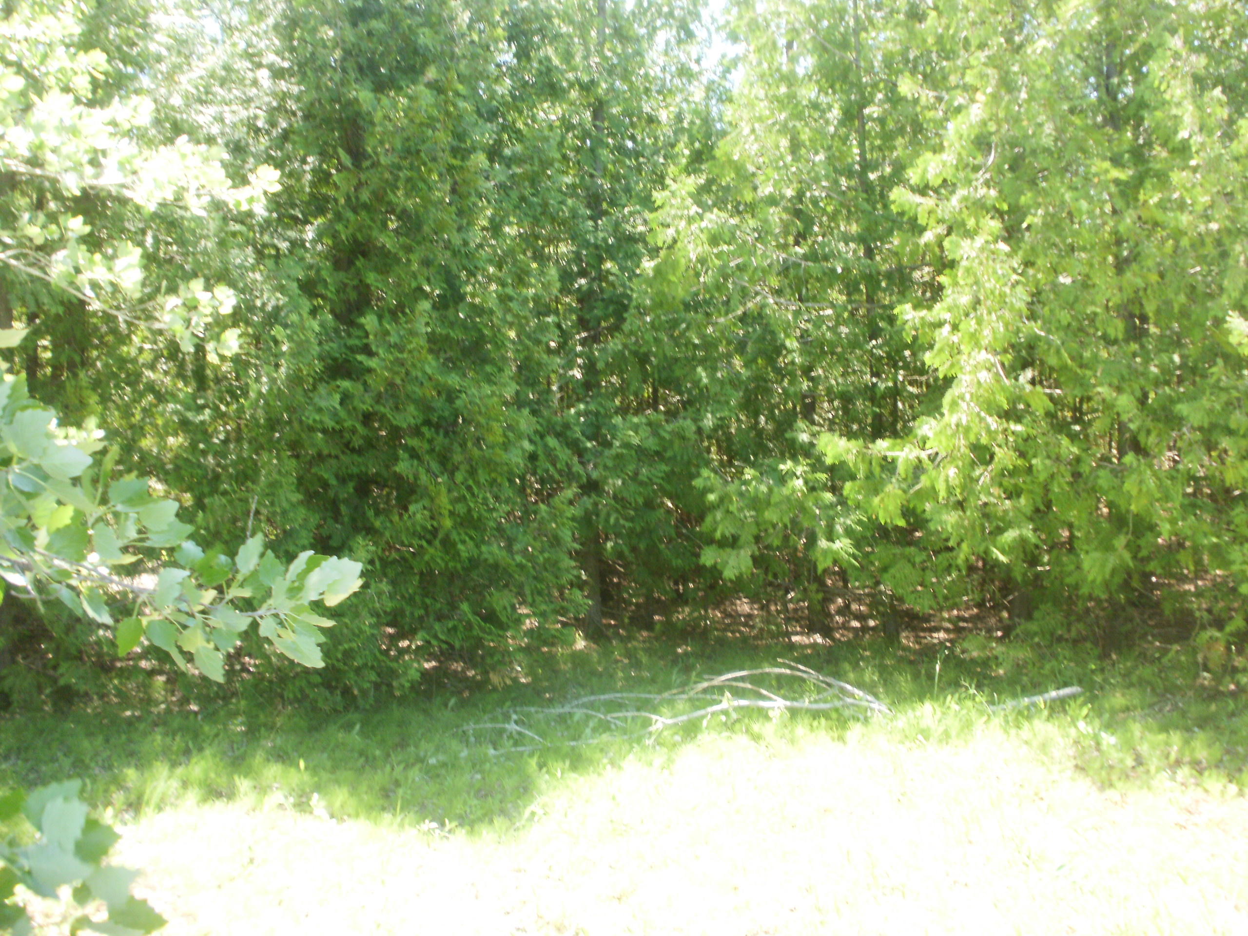 0 Paully Road Cheboygan, MI 49721 - Photo 11 of 14 Gallery Image 11