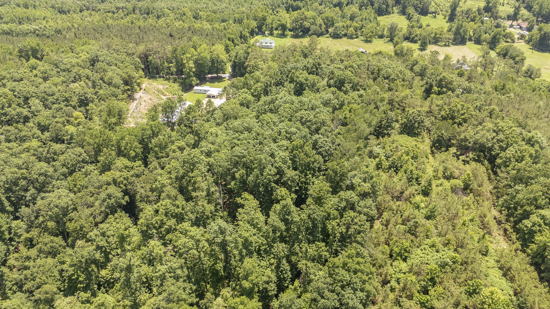912 Simmons Branch Road Waynesboro, TN 38485 - Photo 7 of 21