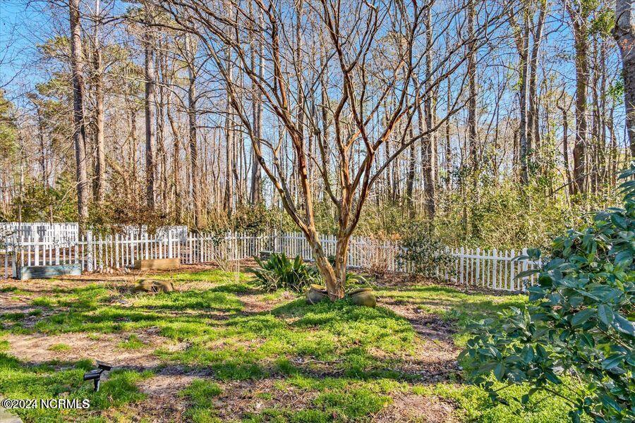 310 Neuchatel Road New Bern, NC 28562 - Photo 38 of 46 Rear