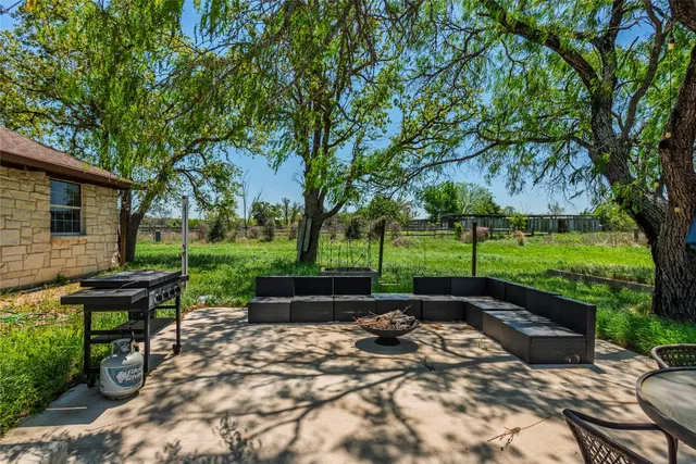 a view of a park with large trees