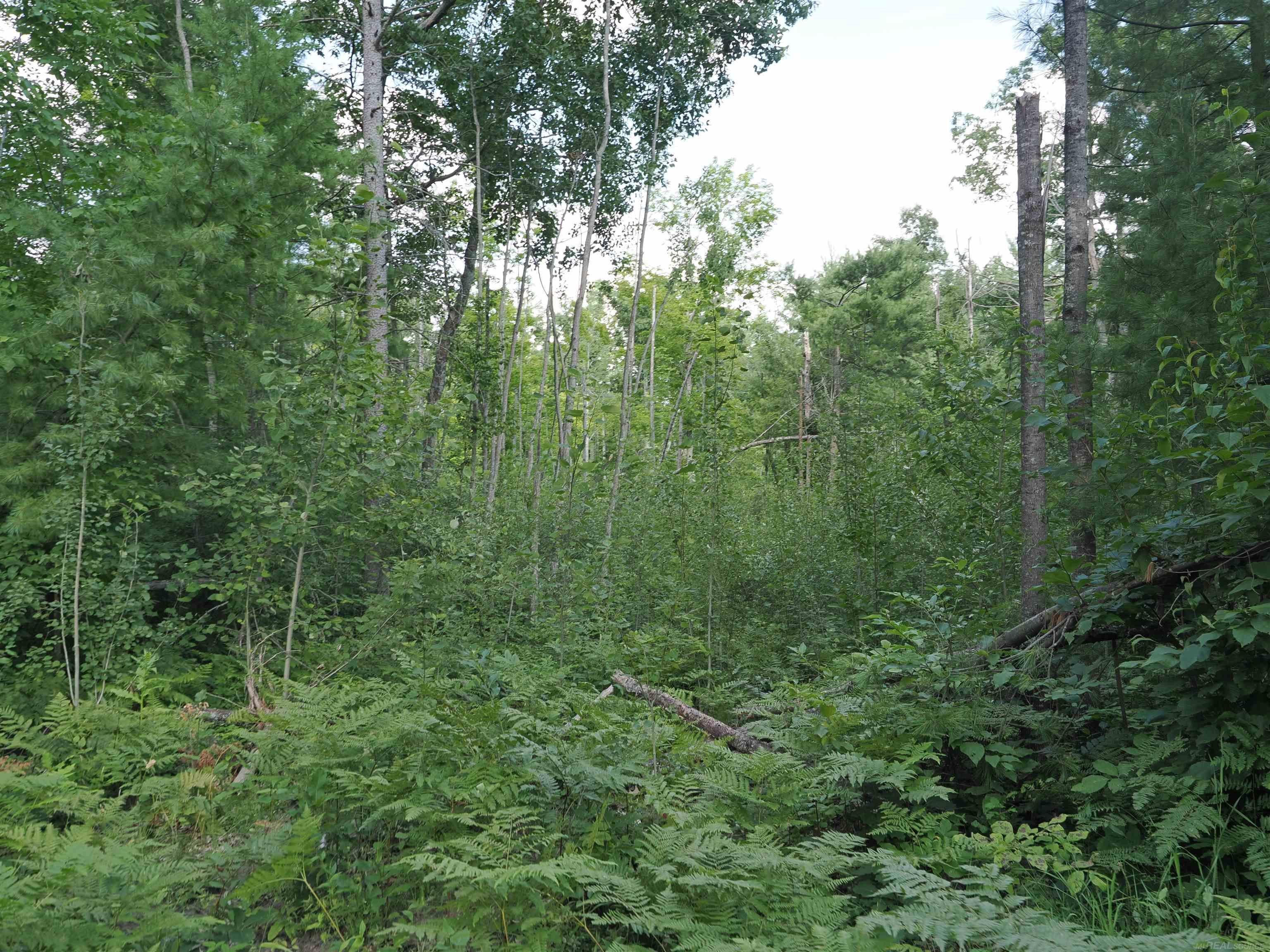 Xxx Emig Road Comins, MI 48619 - Photo 25 of 63 Gallery Image 25