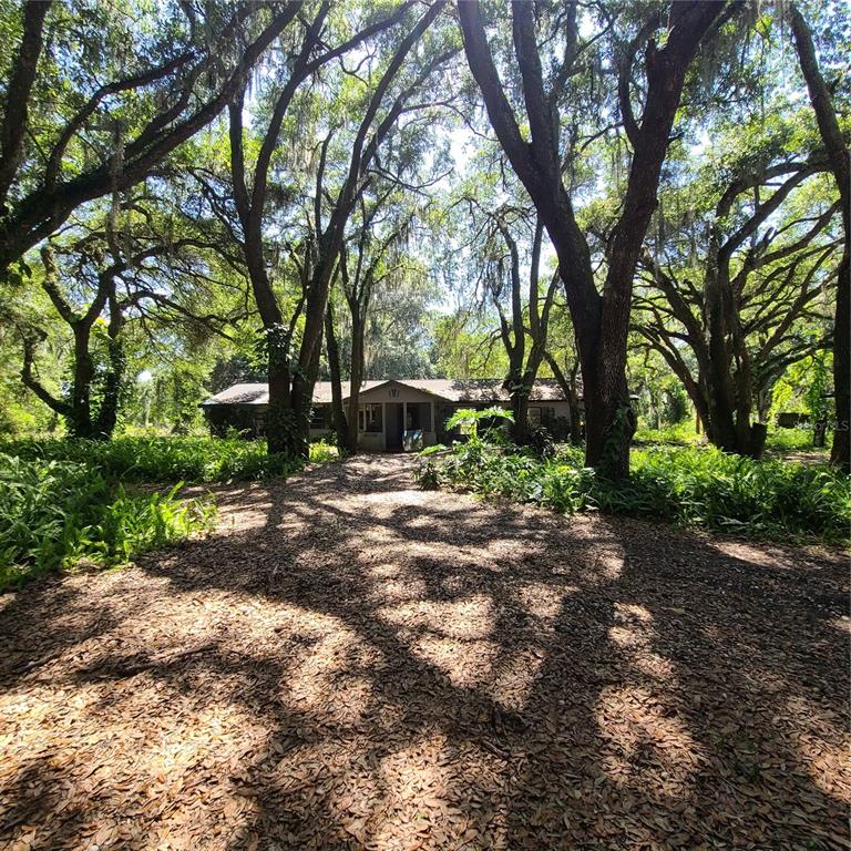 4313 Platt Road Plant City, FL 33565 - Photo 1 of 1 Gallery Image 1