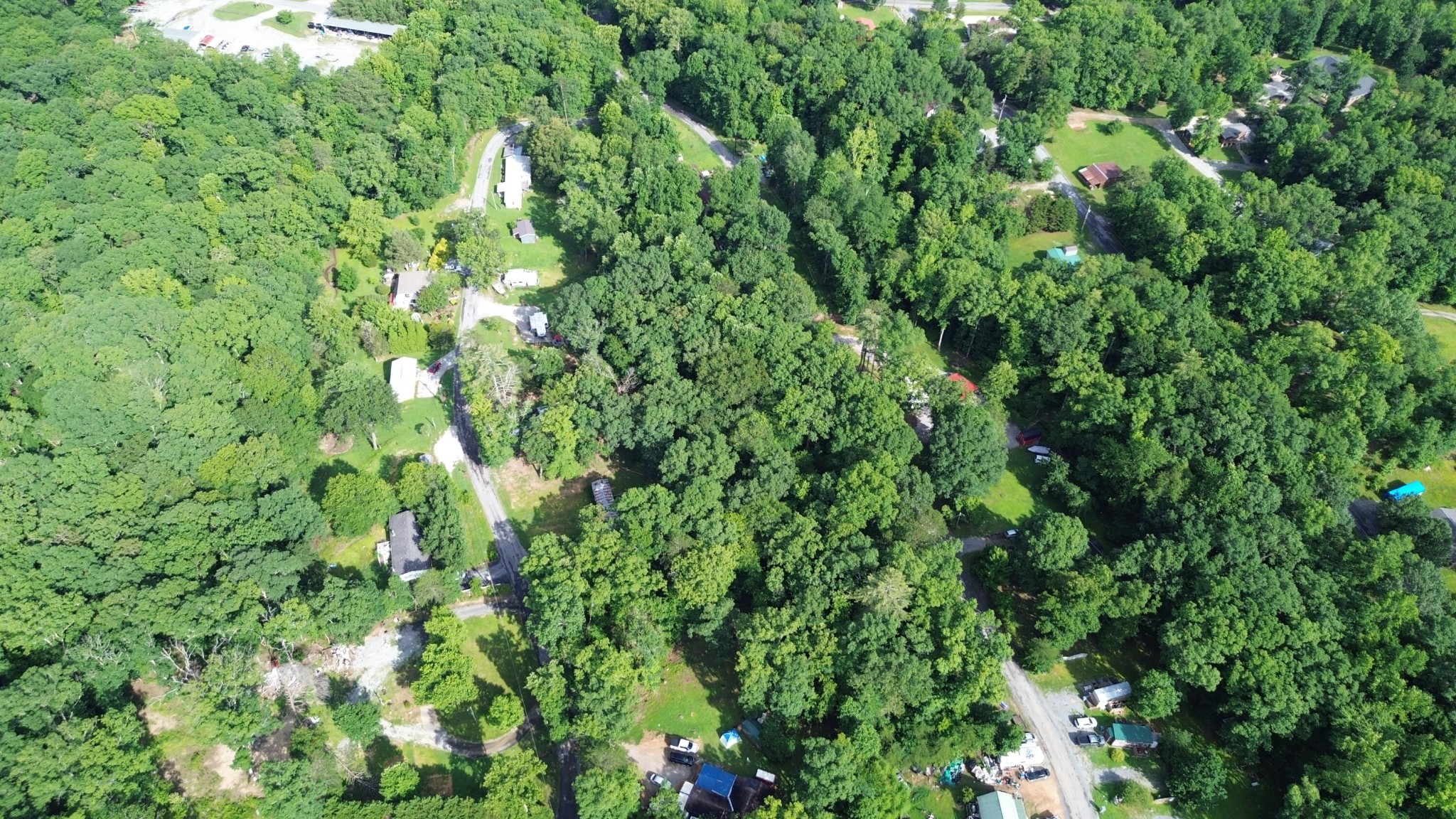 114 Randall Fugate Road Spring City, TN 37381 - Photo 3 of 6 a view of a lush green forest with lots of trees