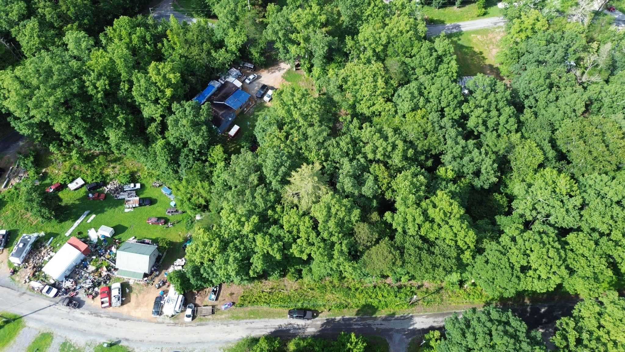 114 Randall Fugate Road Spring City, TN 37381 - Photo 4 of 6 a view of outdoor space and garden