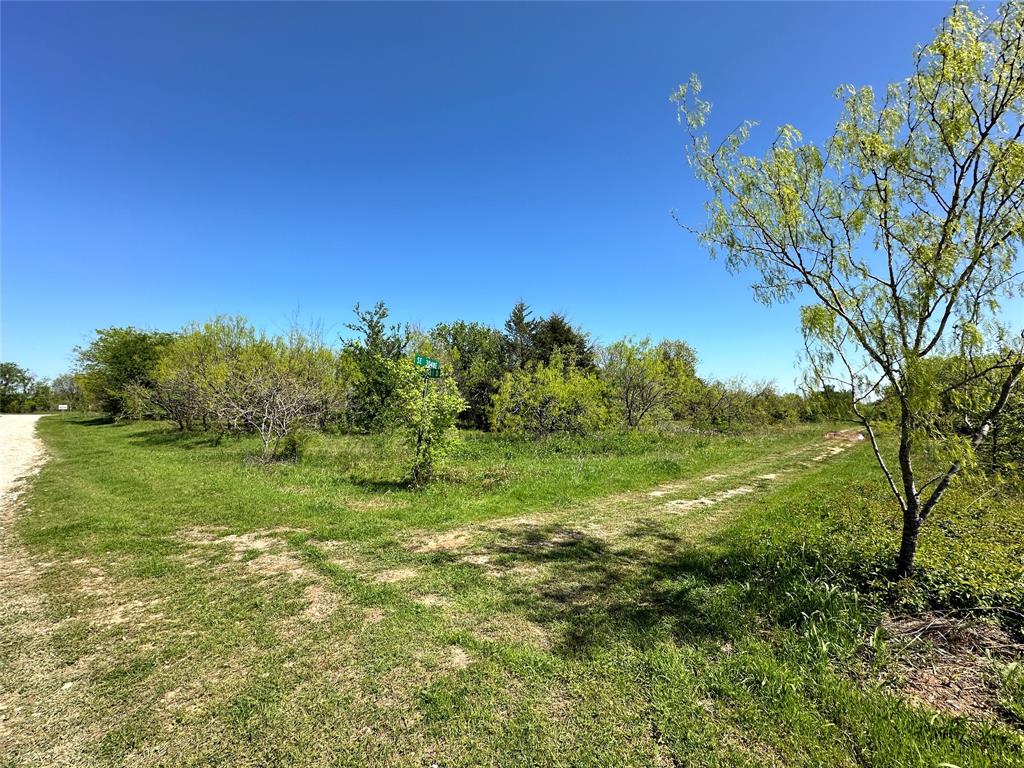 a view of a field with an tree