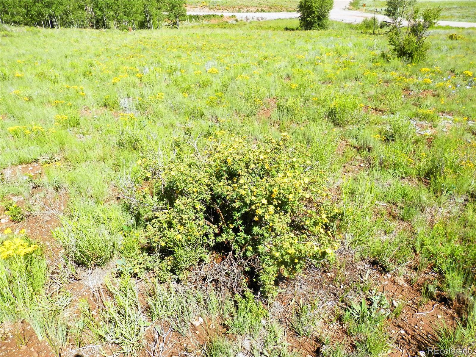 2964 Campfire Road Hartsel, CO 80449 - Photo 23 of 26 a view of a yard with an outdoor space