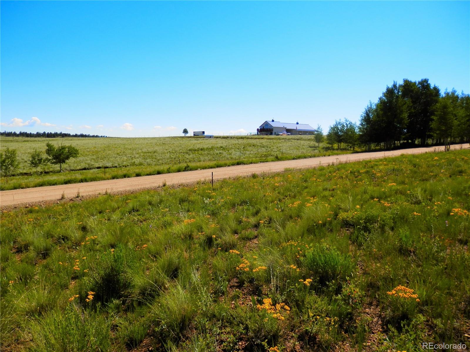 2964 Campfire Road Hartsel, CO 80449 - Photo 3 of 26 a view of a green field with lots of bushes