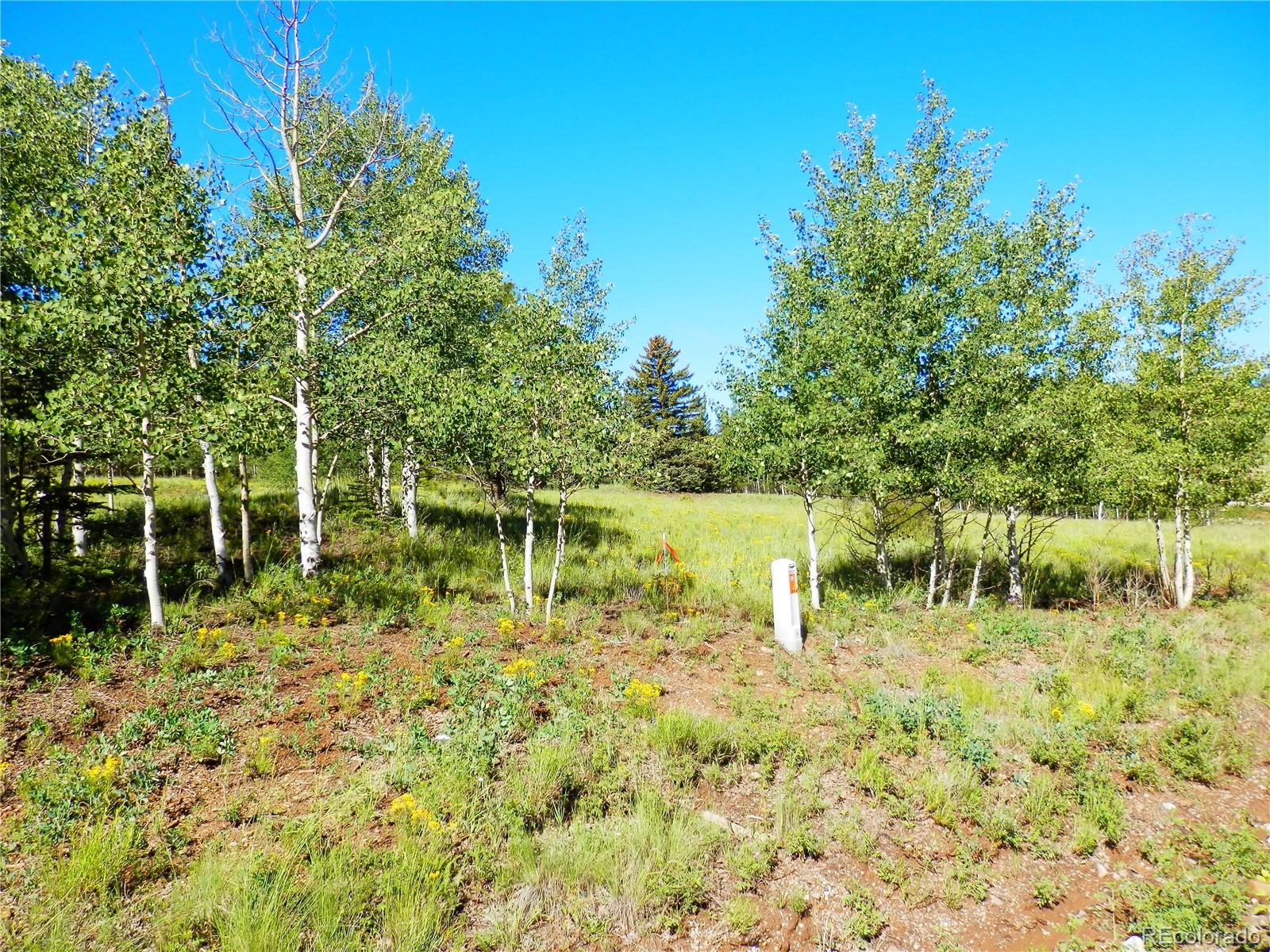 2964 Campfire Road Hartsel, CO 80449 - Photo 4 of 26 a swimming pool with trees in the background