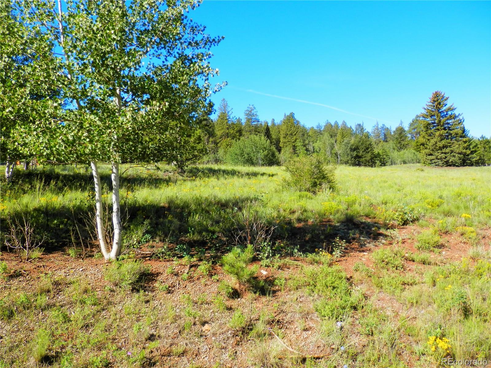 2964 Campfire Road Hartsel, CO 80449 - Photo 5 of 26 a view of lake with green space