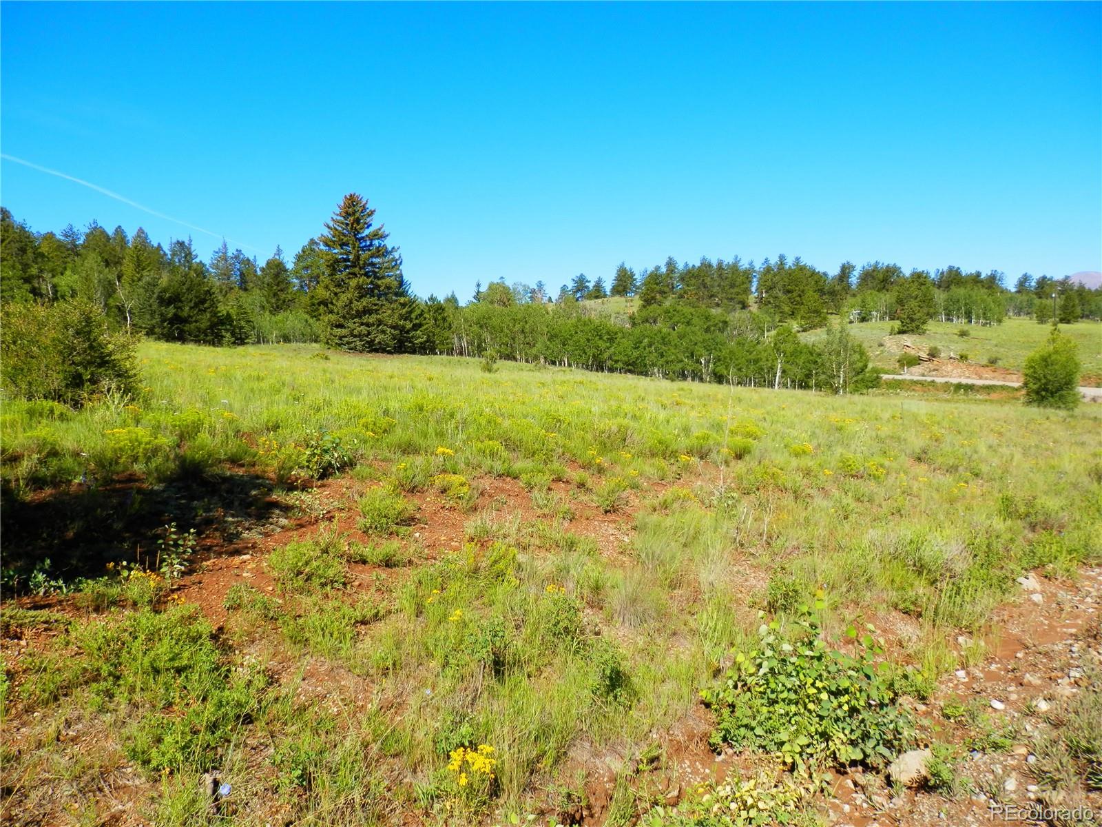 2964 Campfire Road Hartsel, CO 80449 - Photo 6 of 26 a view of an outdoor space and a yard