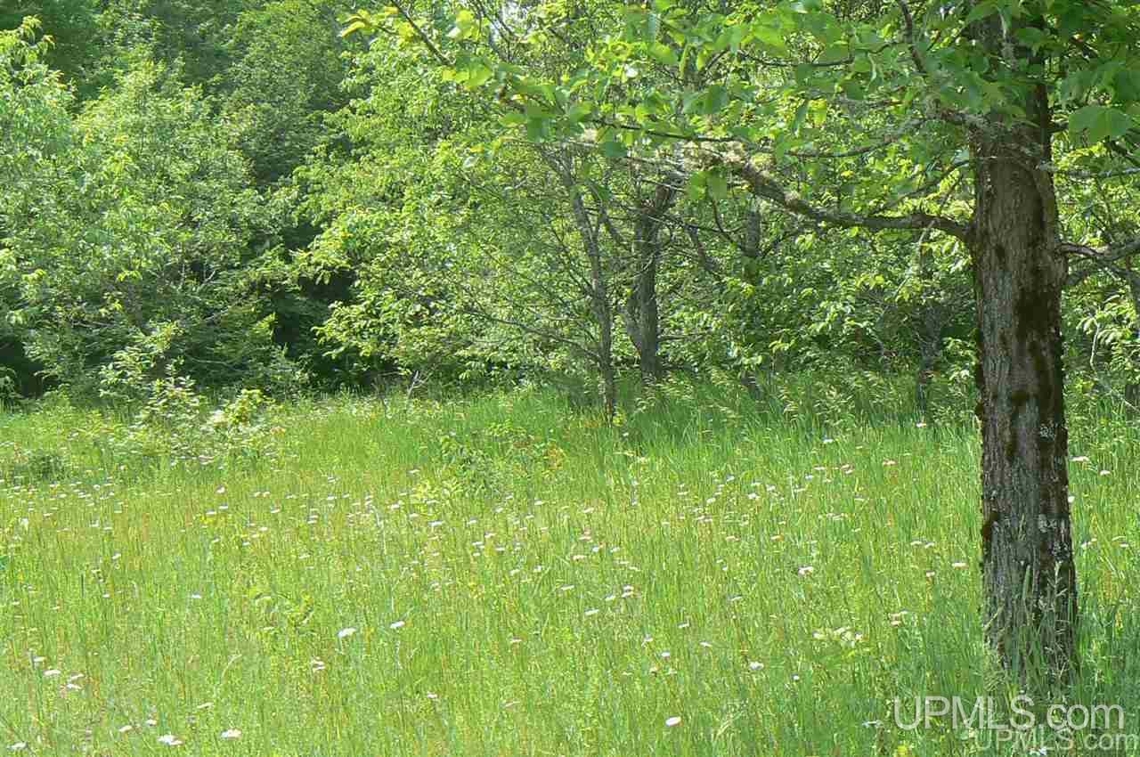 Tbd Finn's Spur Road Eben Junction, MI 49825 - Photo 1 of 7