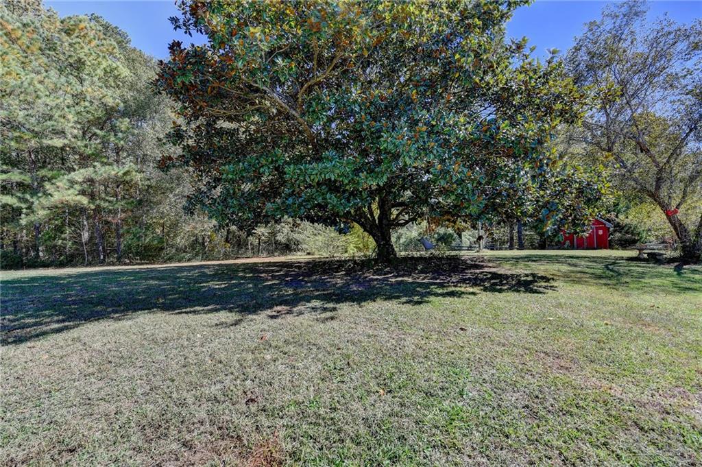 2853 Brookside Drive Monroe, GA 30656 - Photo 63 of 76 a view of a yard with wooden fence